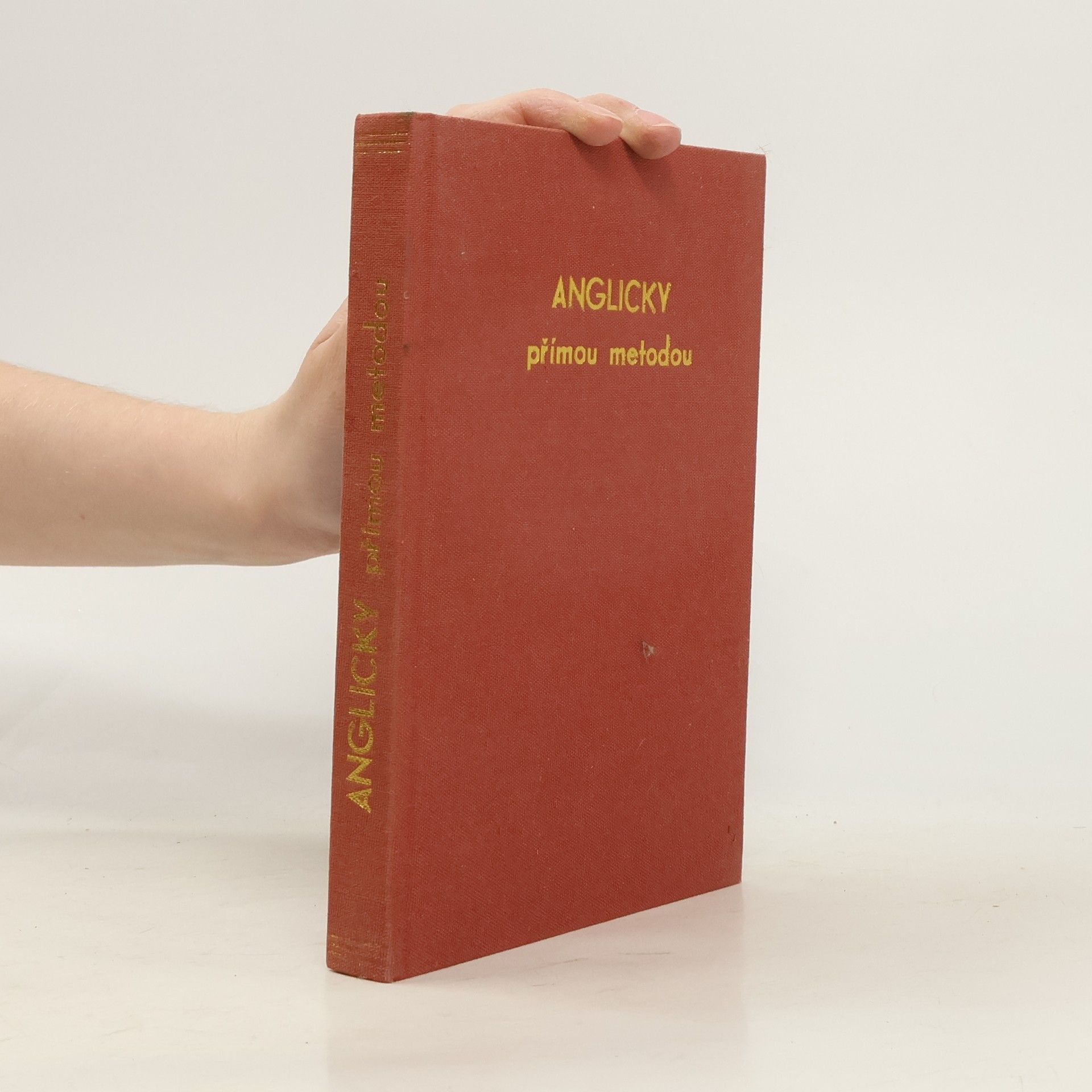 Zuzana Hamplová Anglicky přímou metodou