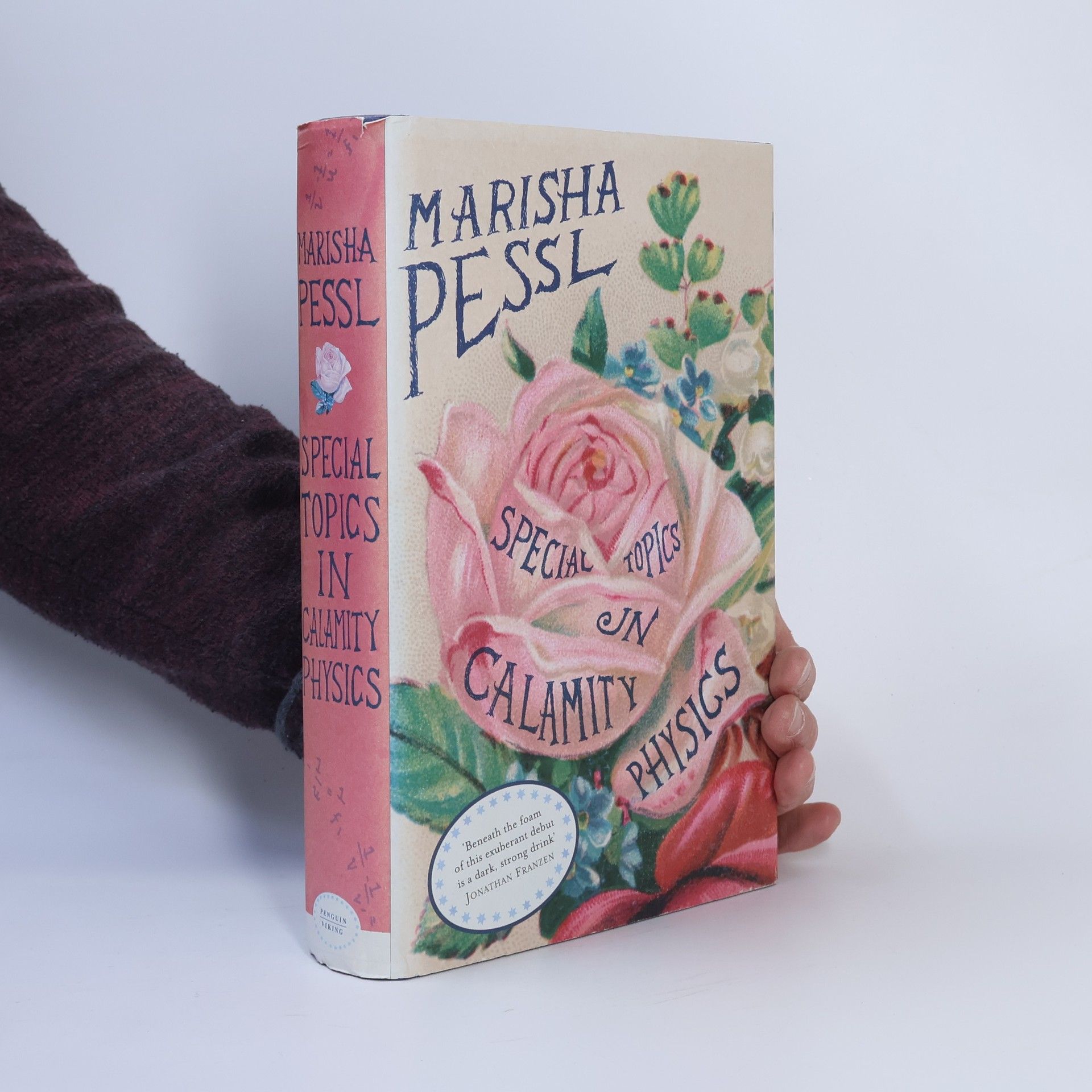 Marisha Pessl Special Topics in Calamity Physics