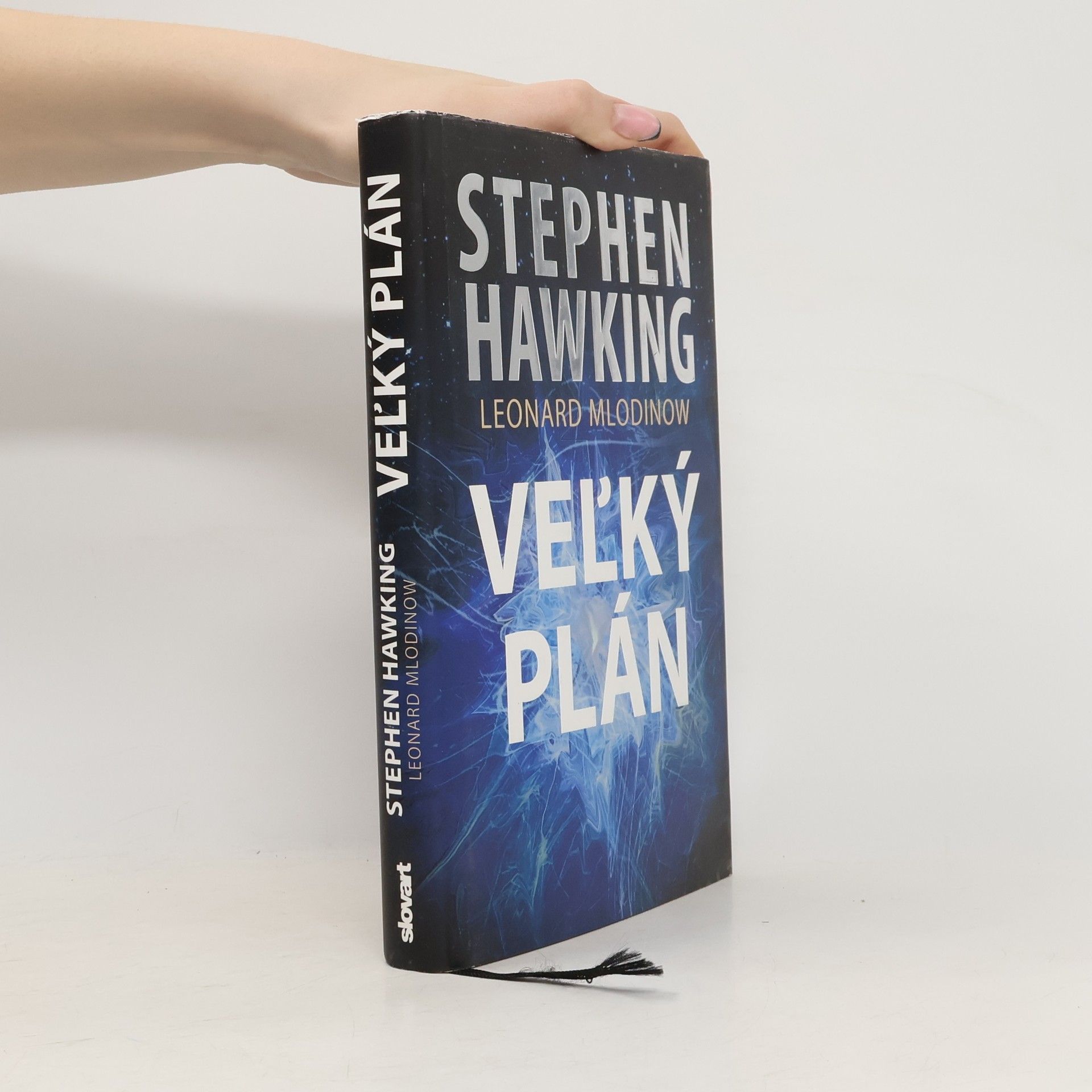 Stephen Hawking Veľký plán