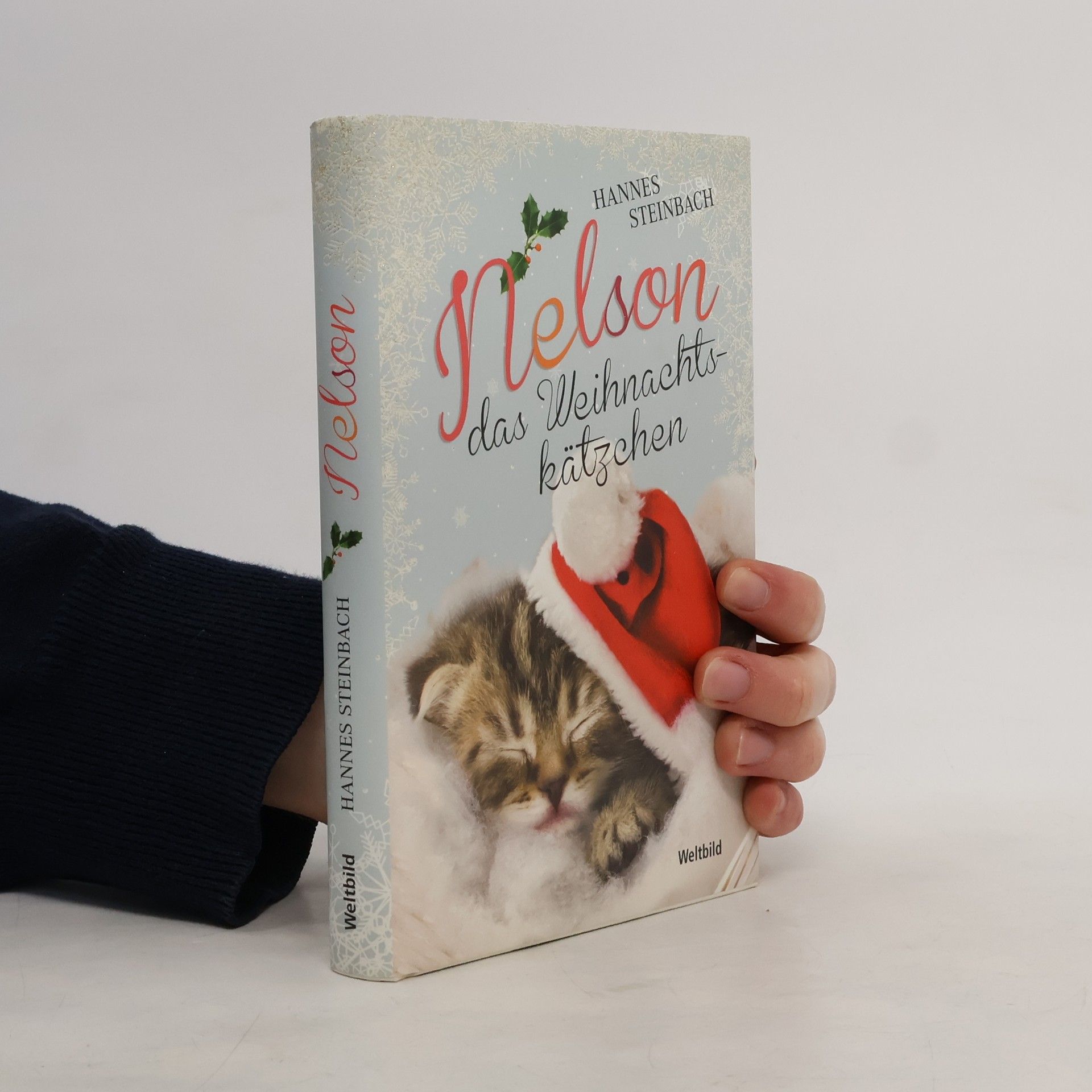 Hannes Steinbach Nelson das Weihnachts-kätzchen