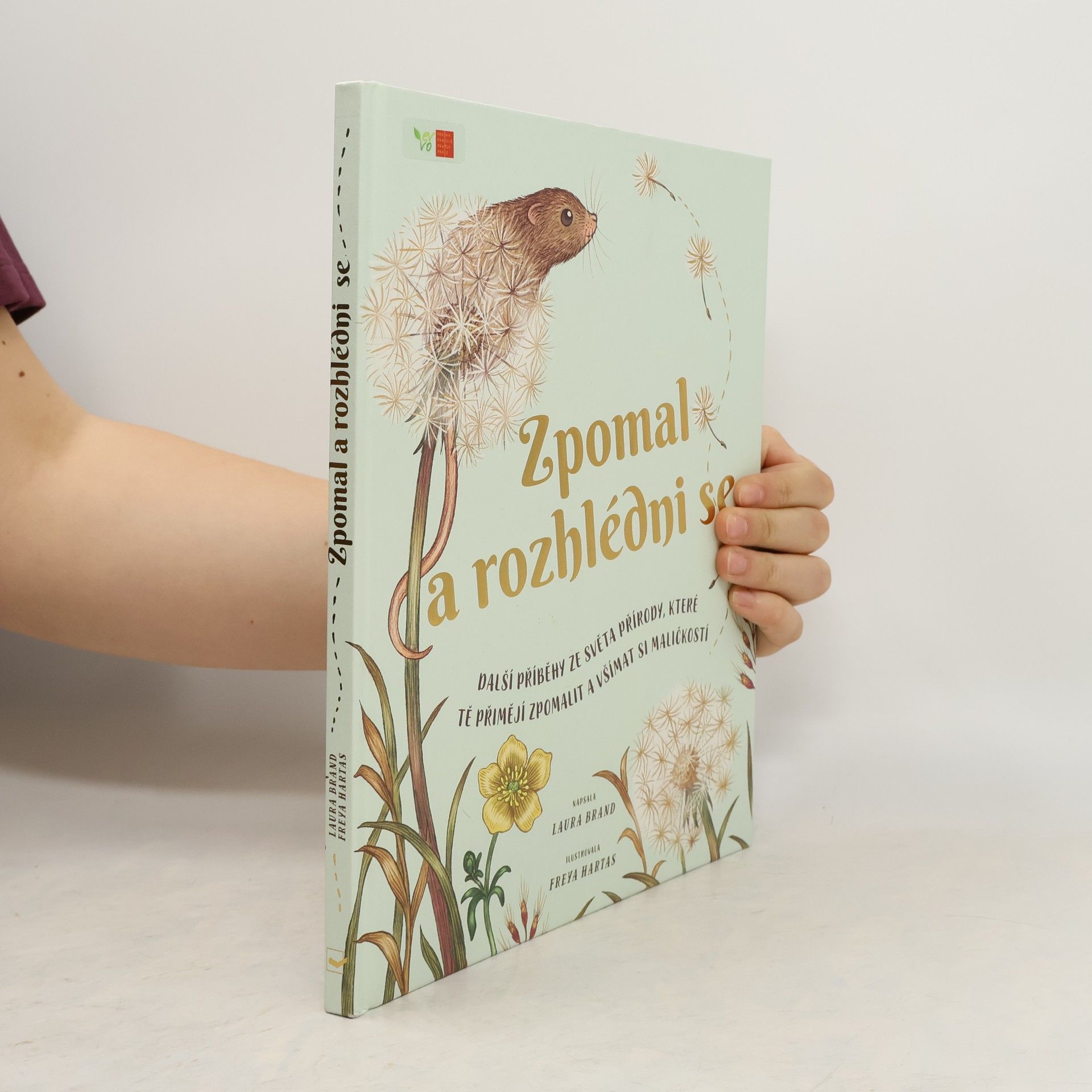 Laura Brander Zpomal a rozhlédni se