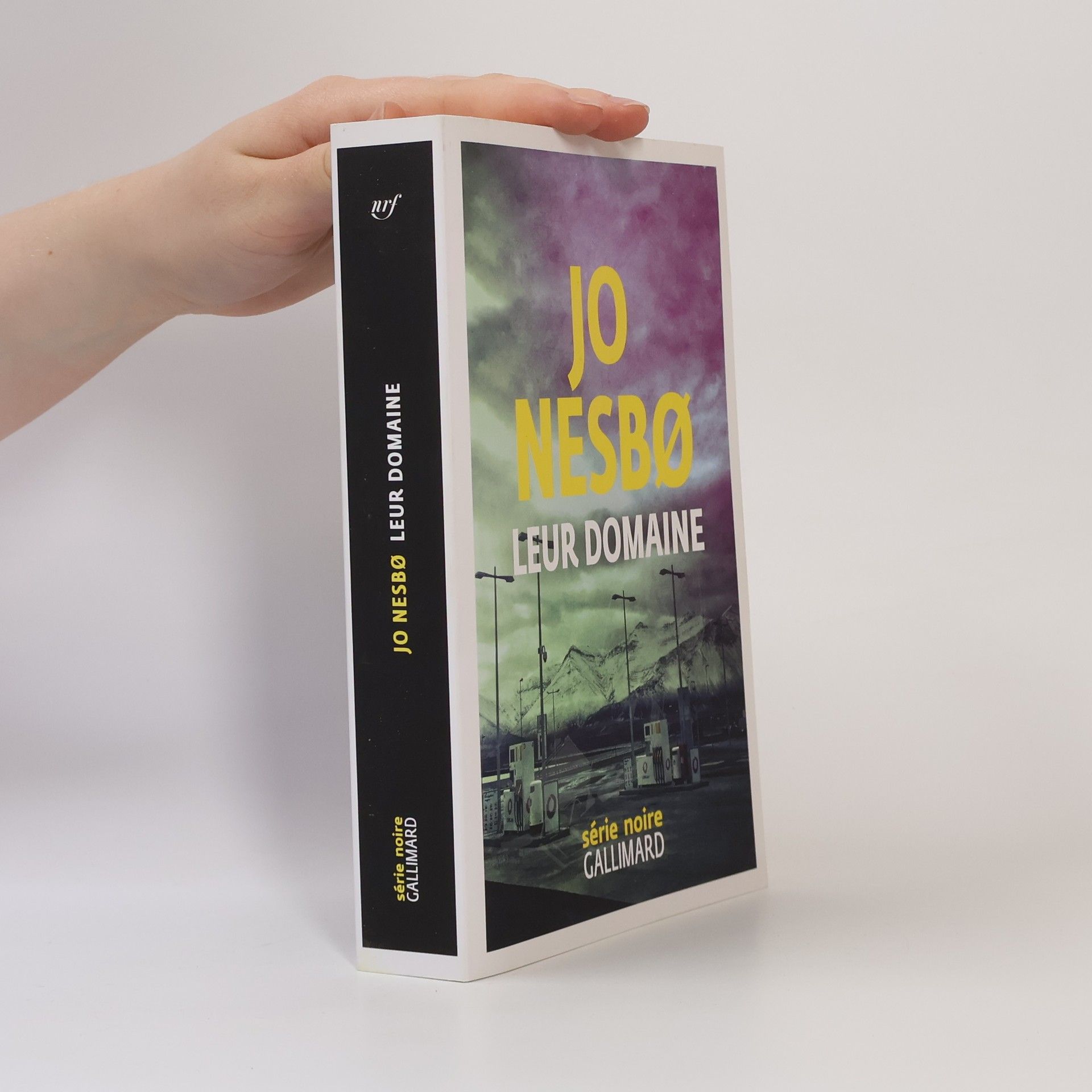 Jo Nesbø Série noire: Leur domaine