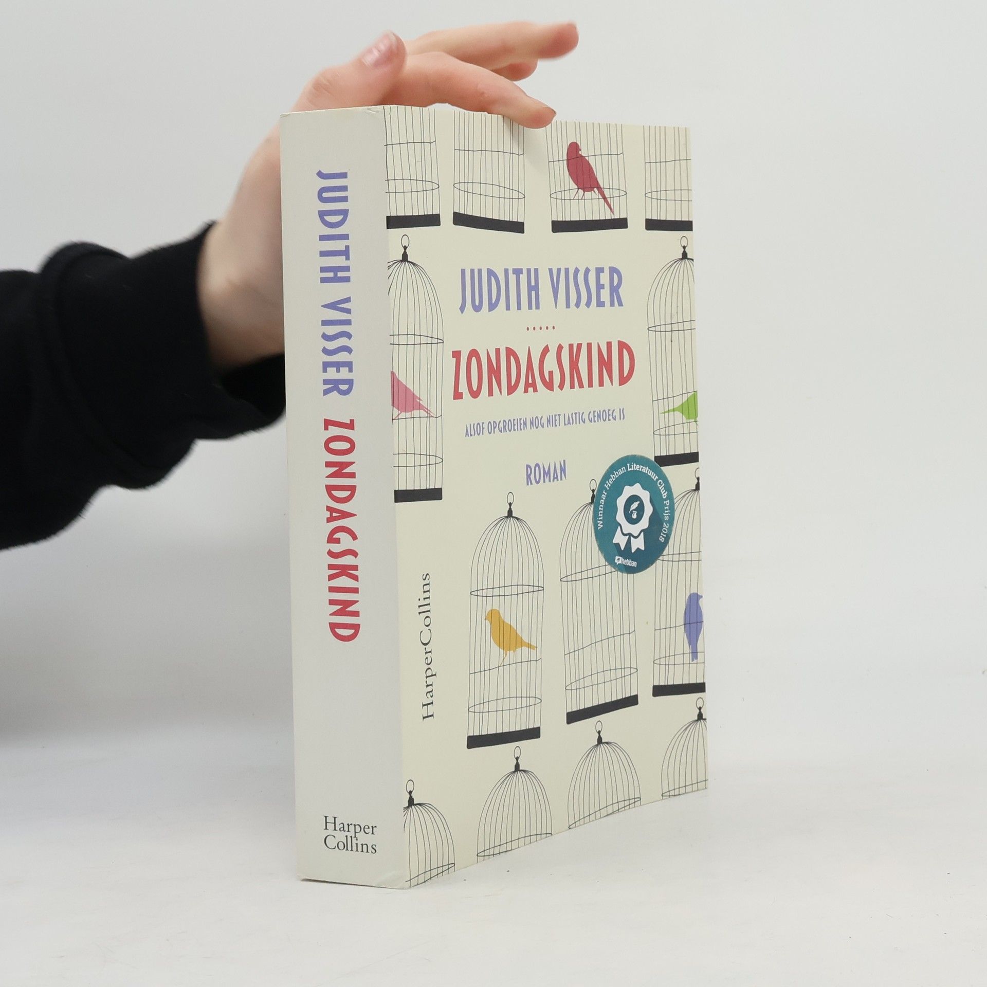 Judith Visser Zondagskind