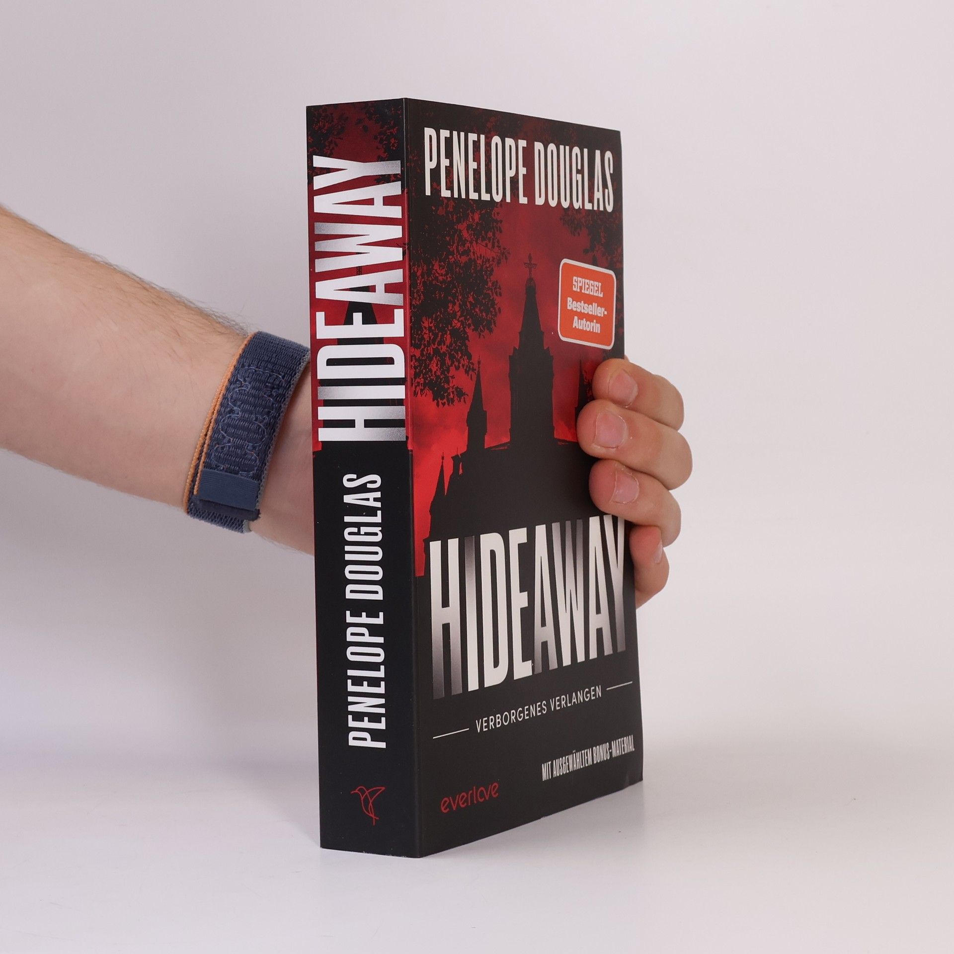 Hideaway - Verborgenes Verlangen / Devil’s Night Bd.2