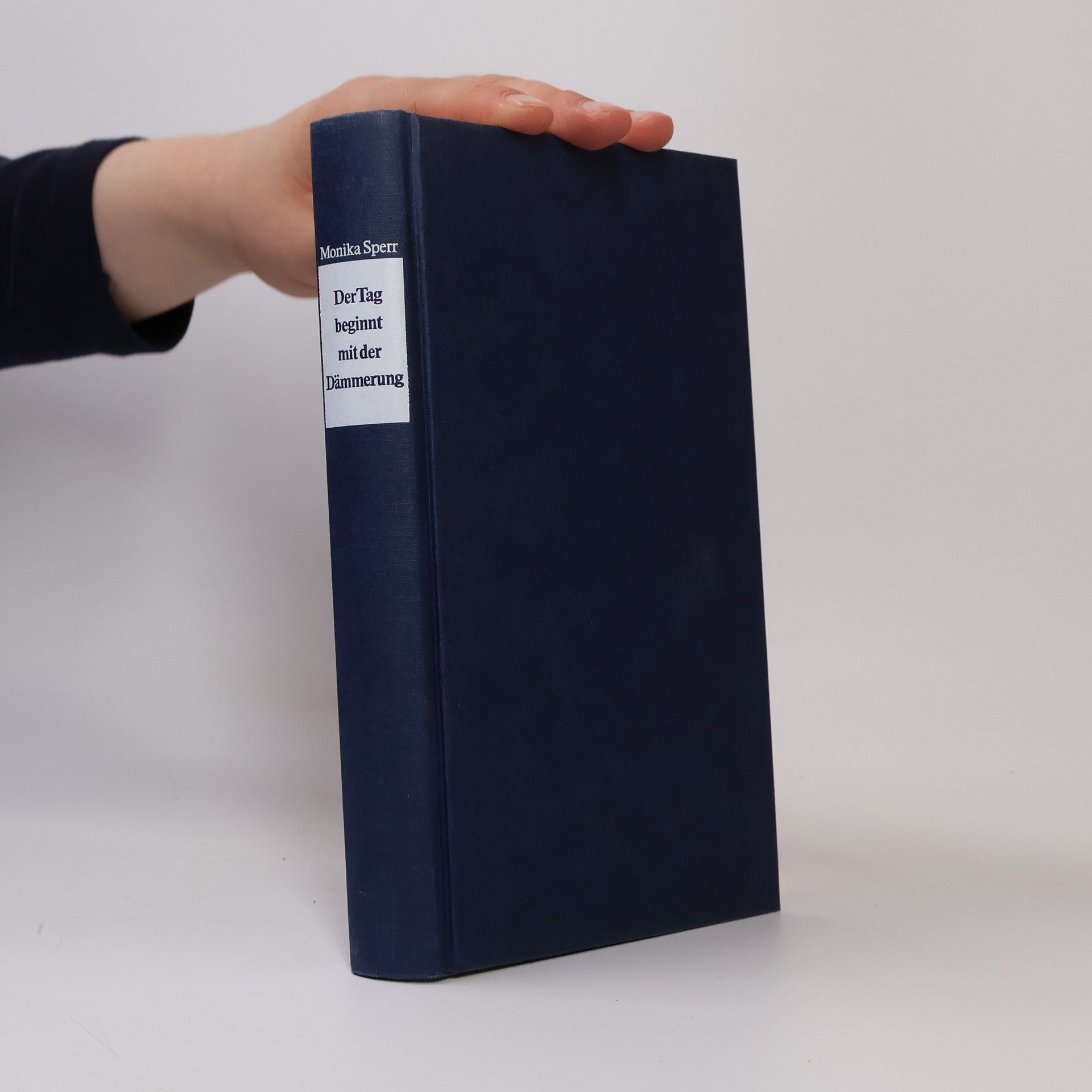 Monika Sperr Der Tag beginnt mit der Dämmerung
