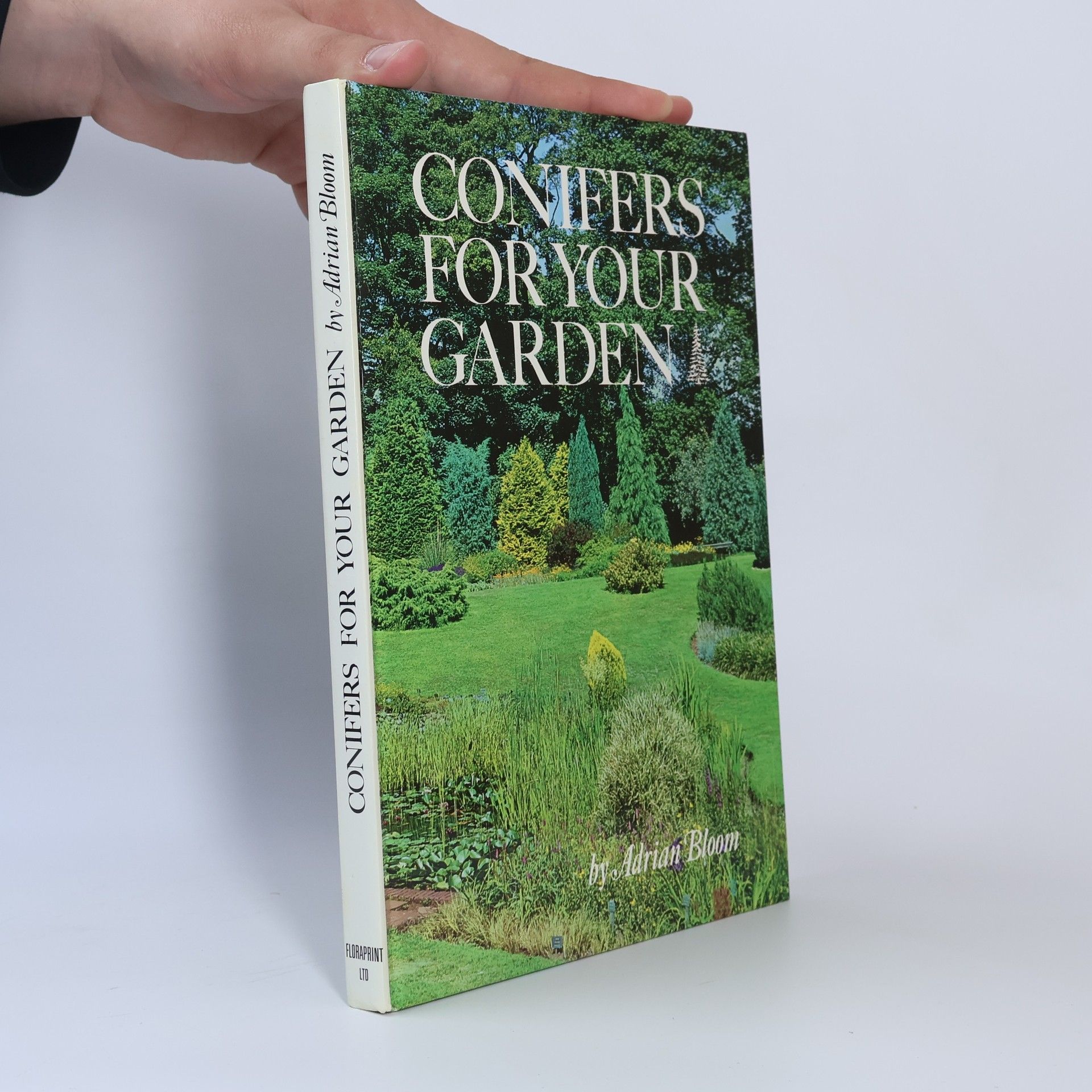 Bloom Adraian Conifers for Your Garden