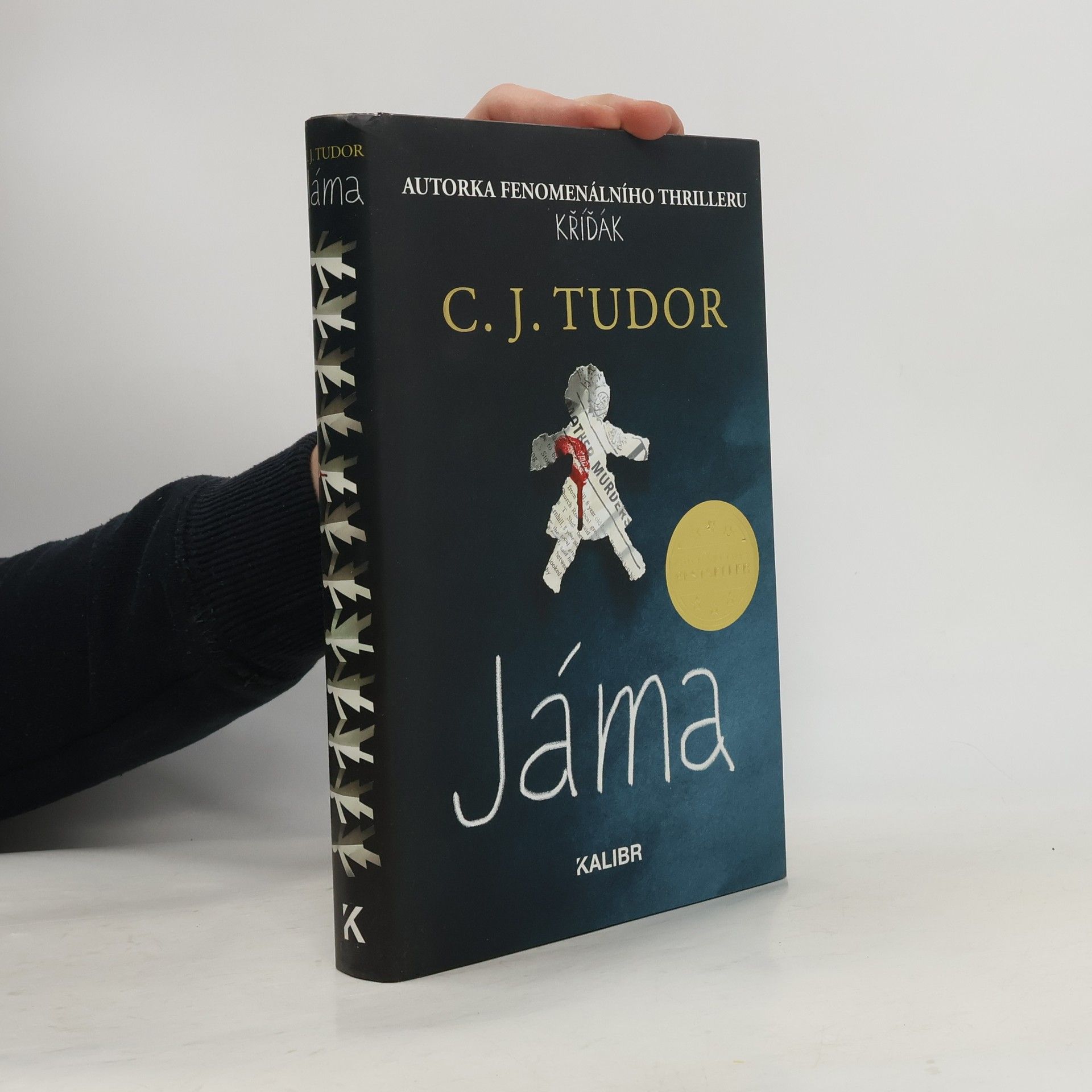 C.J. Tudor Jáma