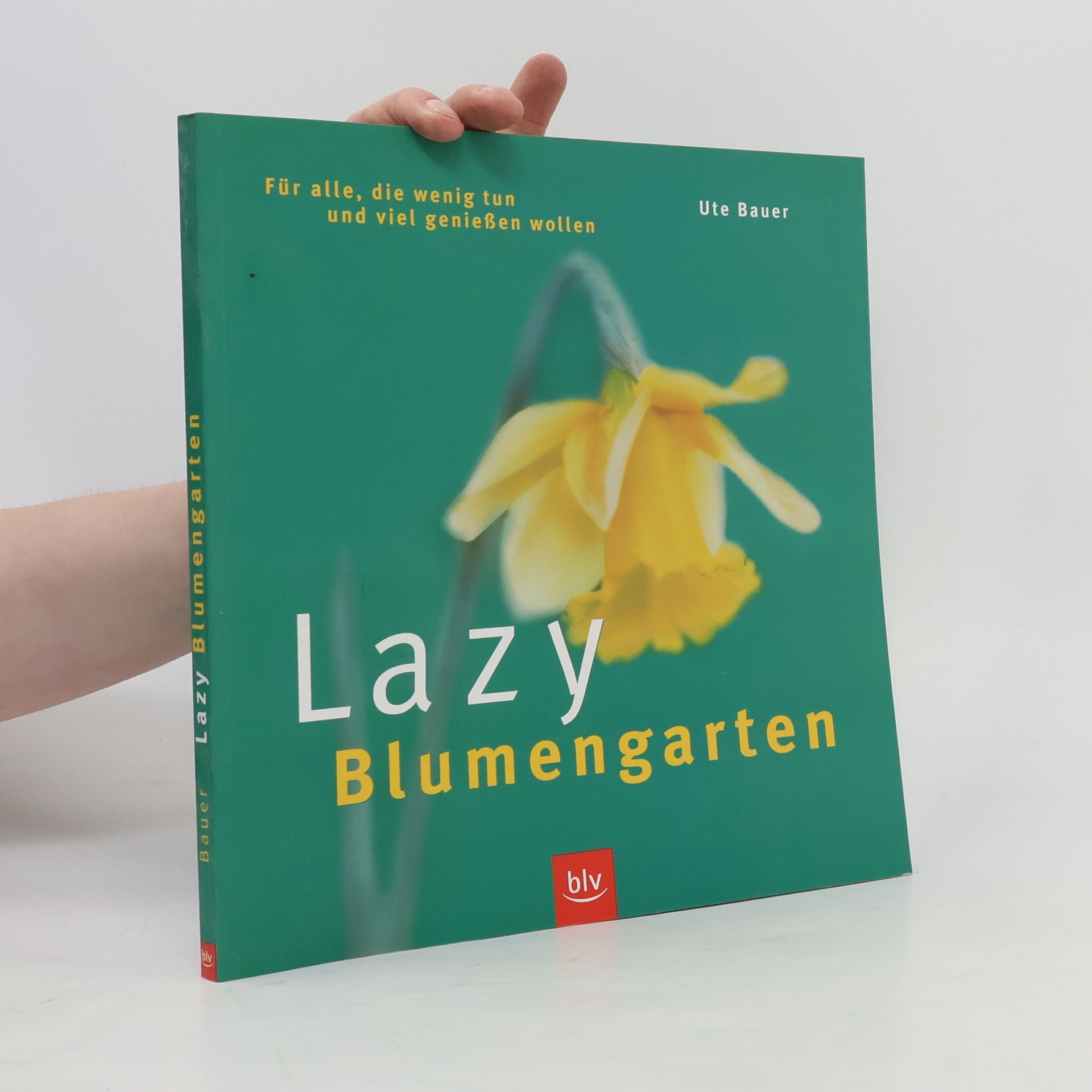 Lazy - Blumengarten