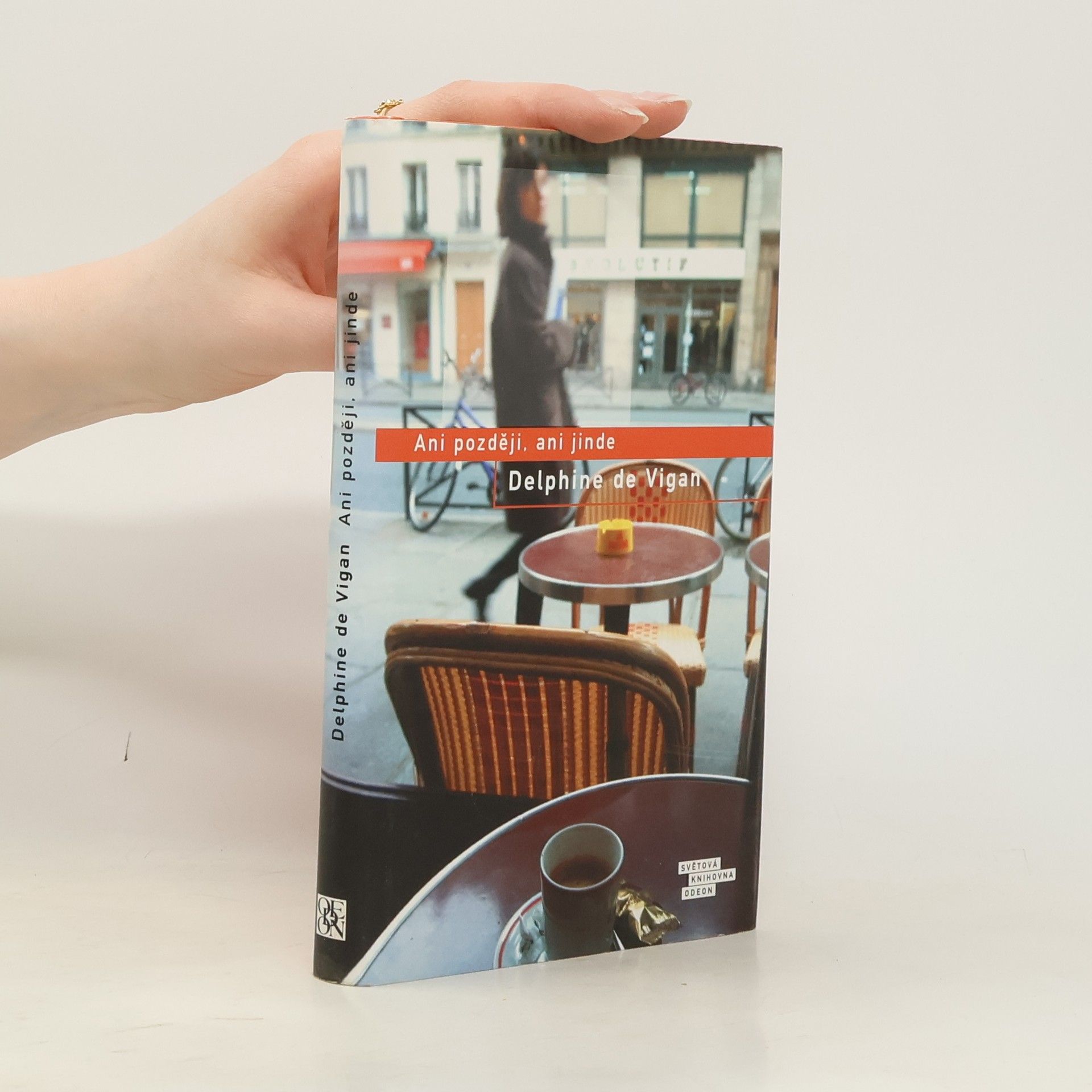 Delphine de Vigan Ani později, ani jinde