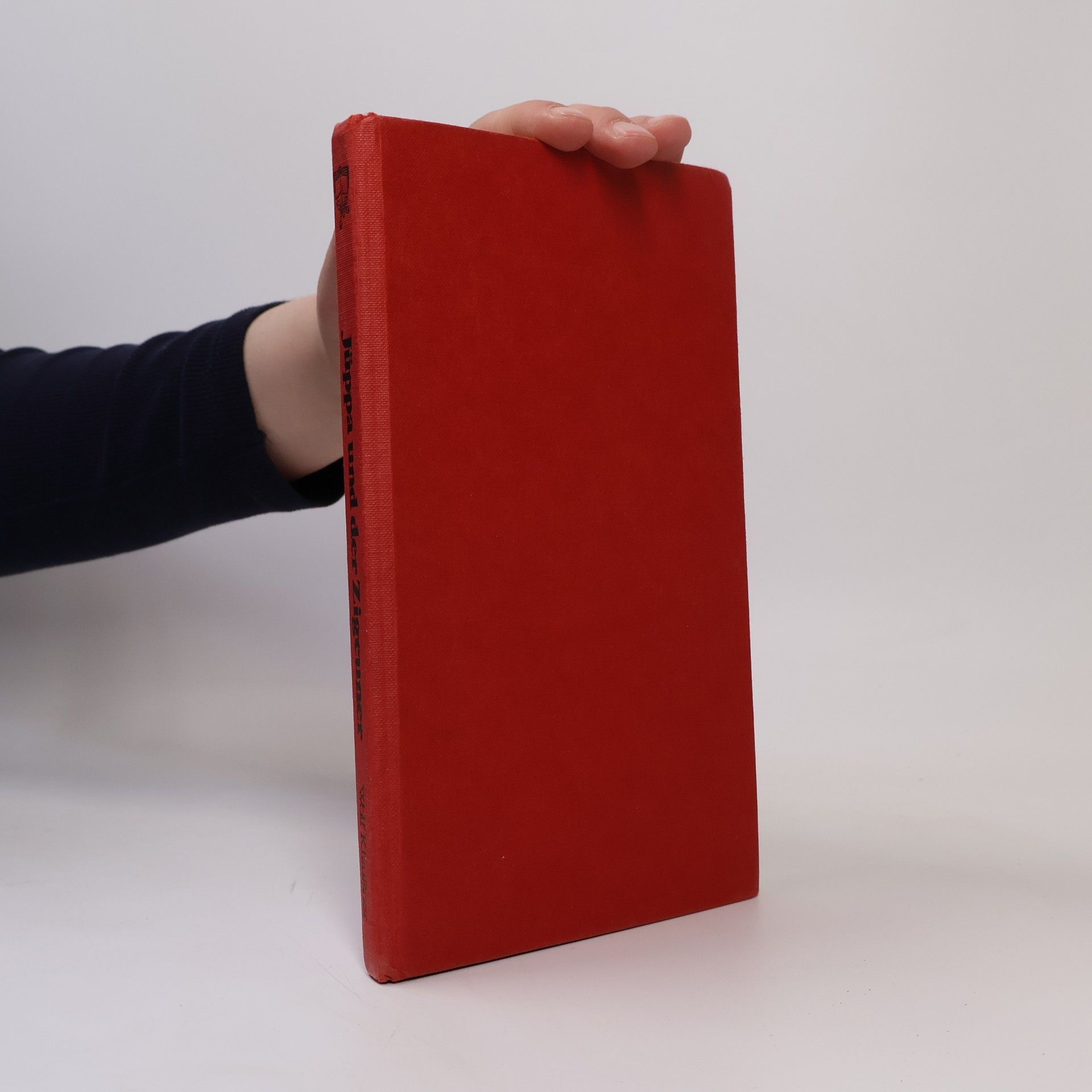 Wolf Klaußner Jüppa und der Zigeuner