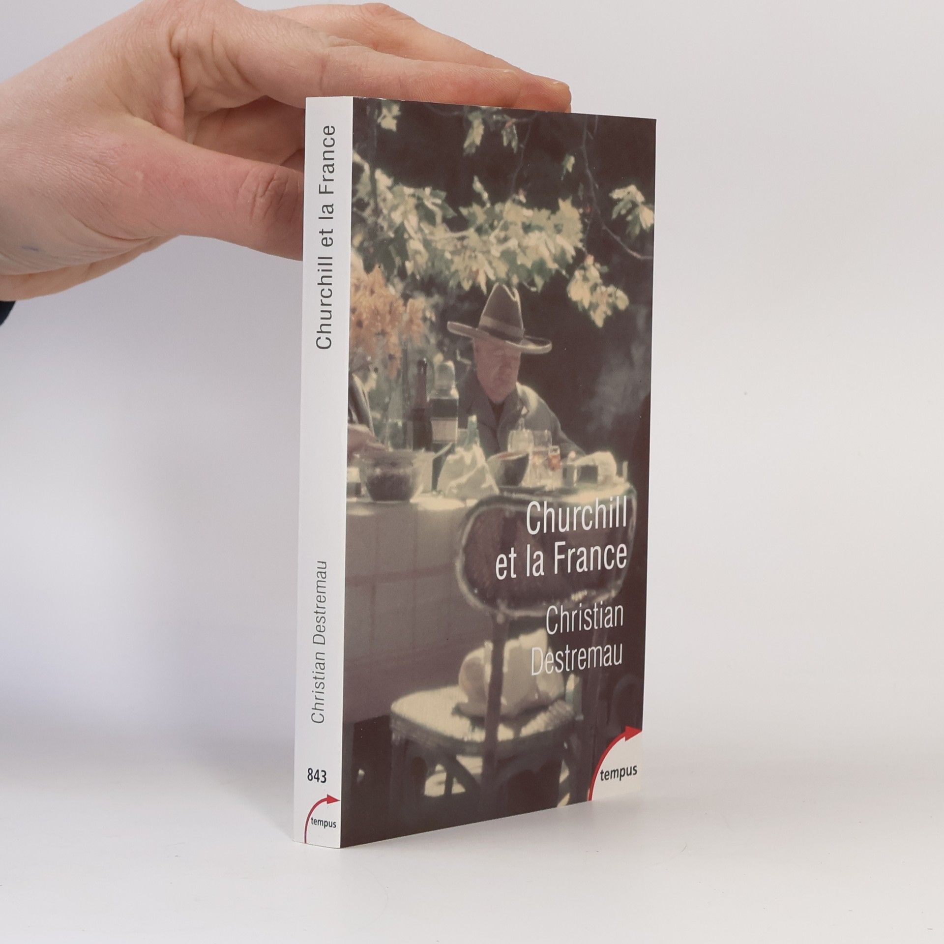 Christian Destremau Churchill et la France