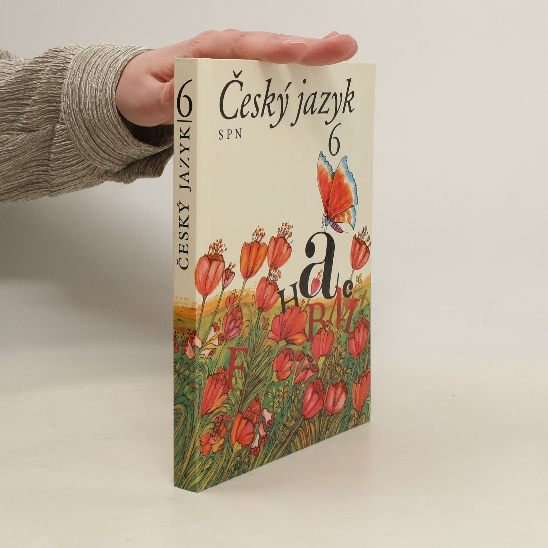 Vlastimil Styblík Český jazyk 6