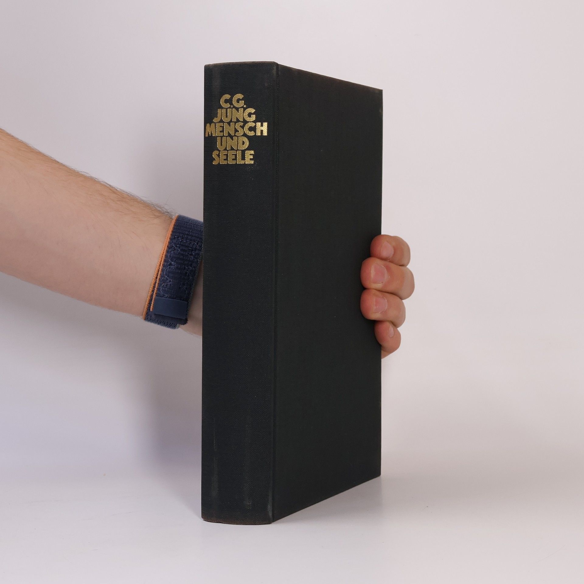 Carl Jung Mensch und Seele