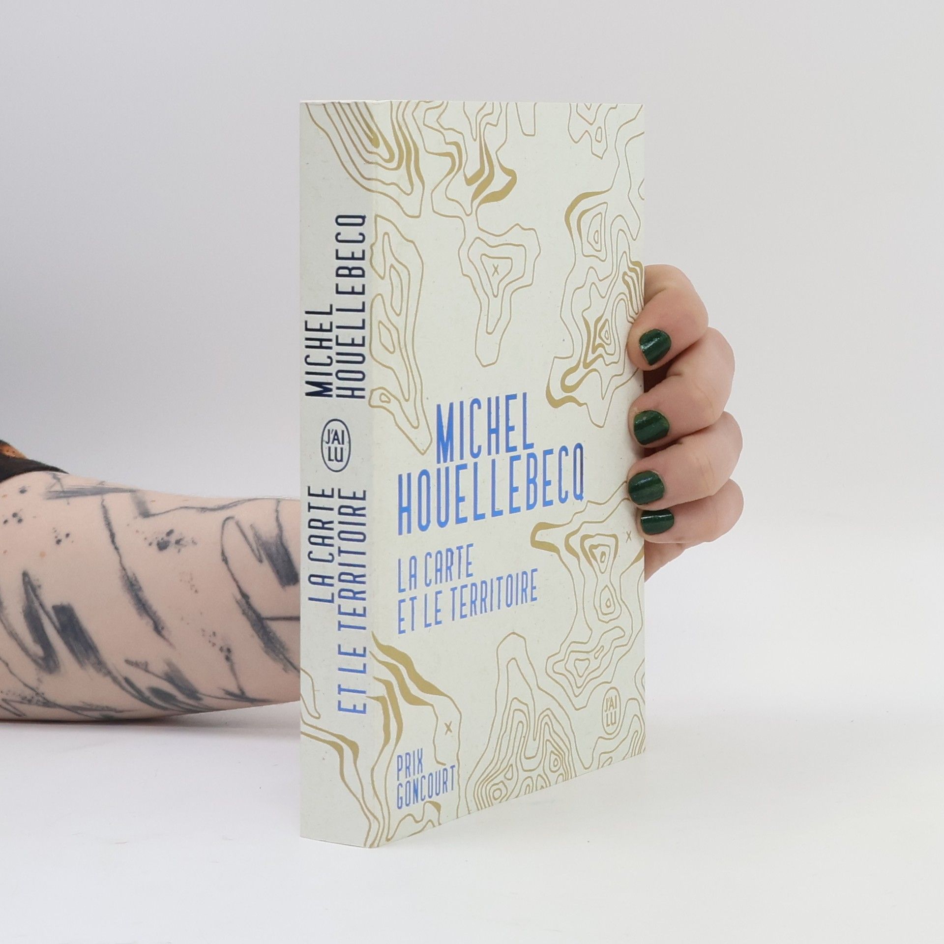 Michel Houellebecq La carte et le territoire