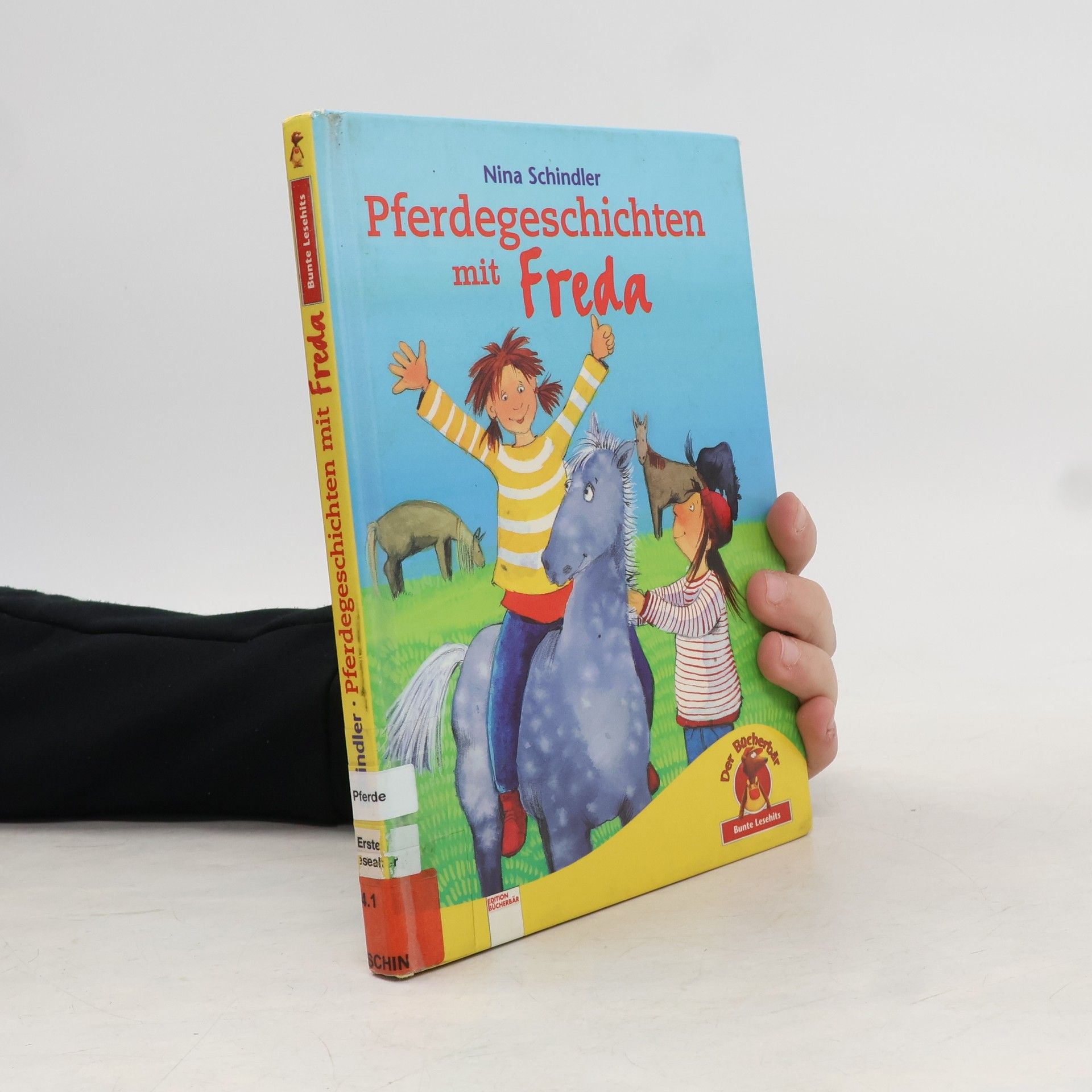 Nina Schindler Pferdegeschichten mit Freda