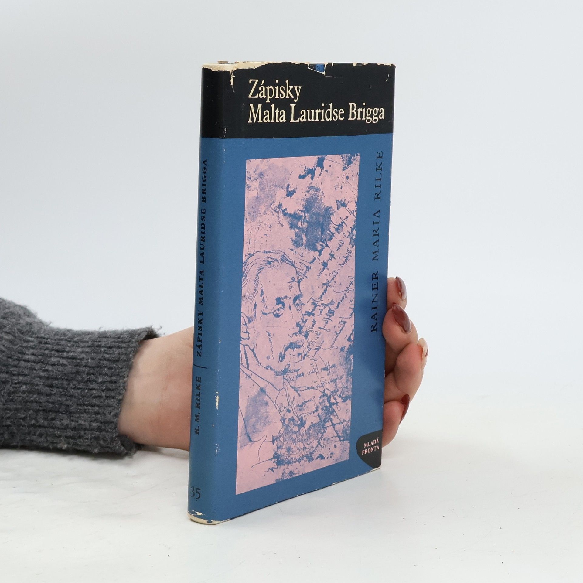 Rainer Maria Rilke Zápisky Malta Lauridse Brigga