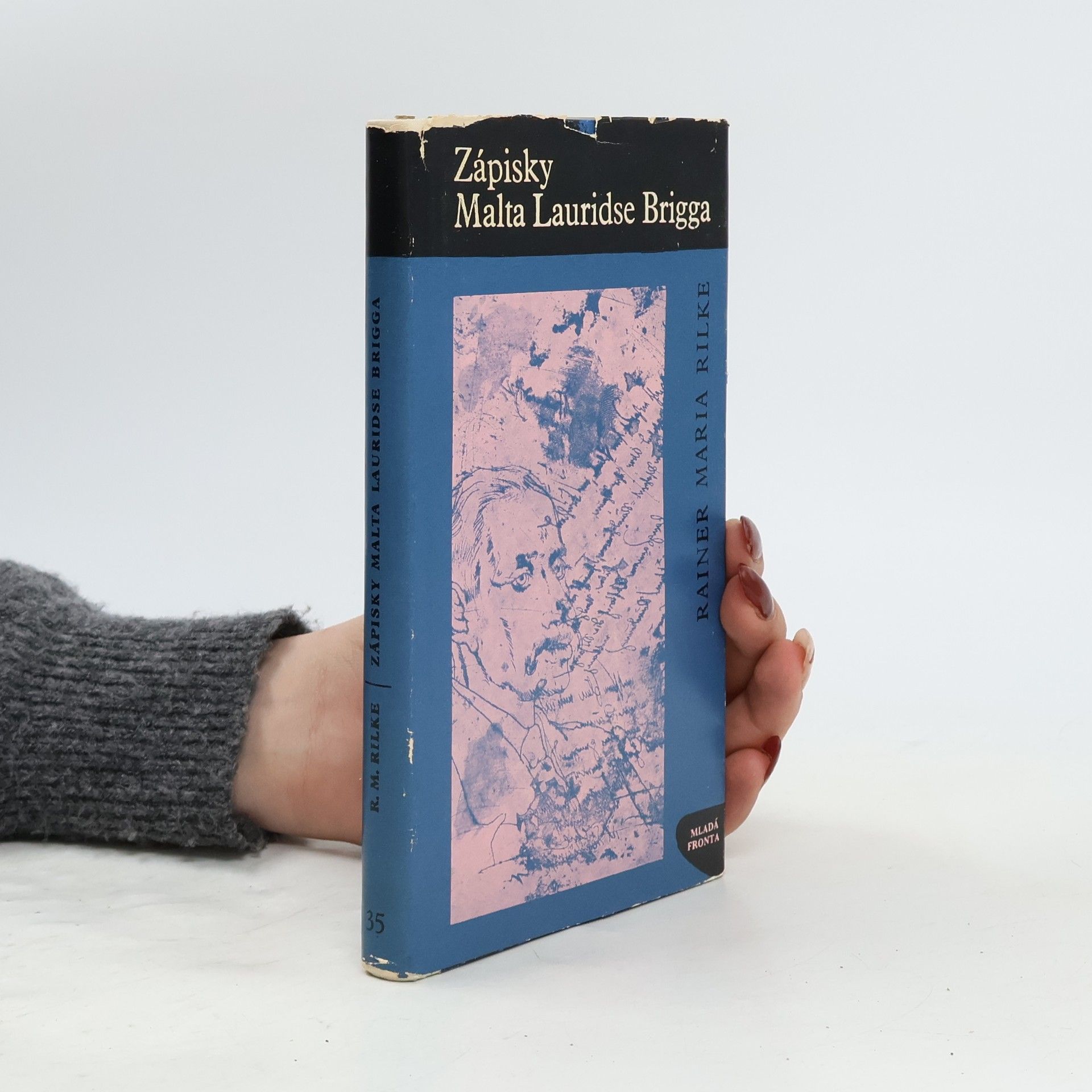 Rainer Maria Rilke Zápisky Malta Lauridse Brigga
