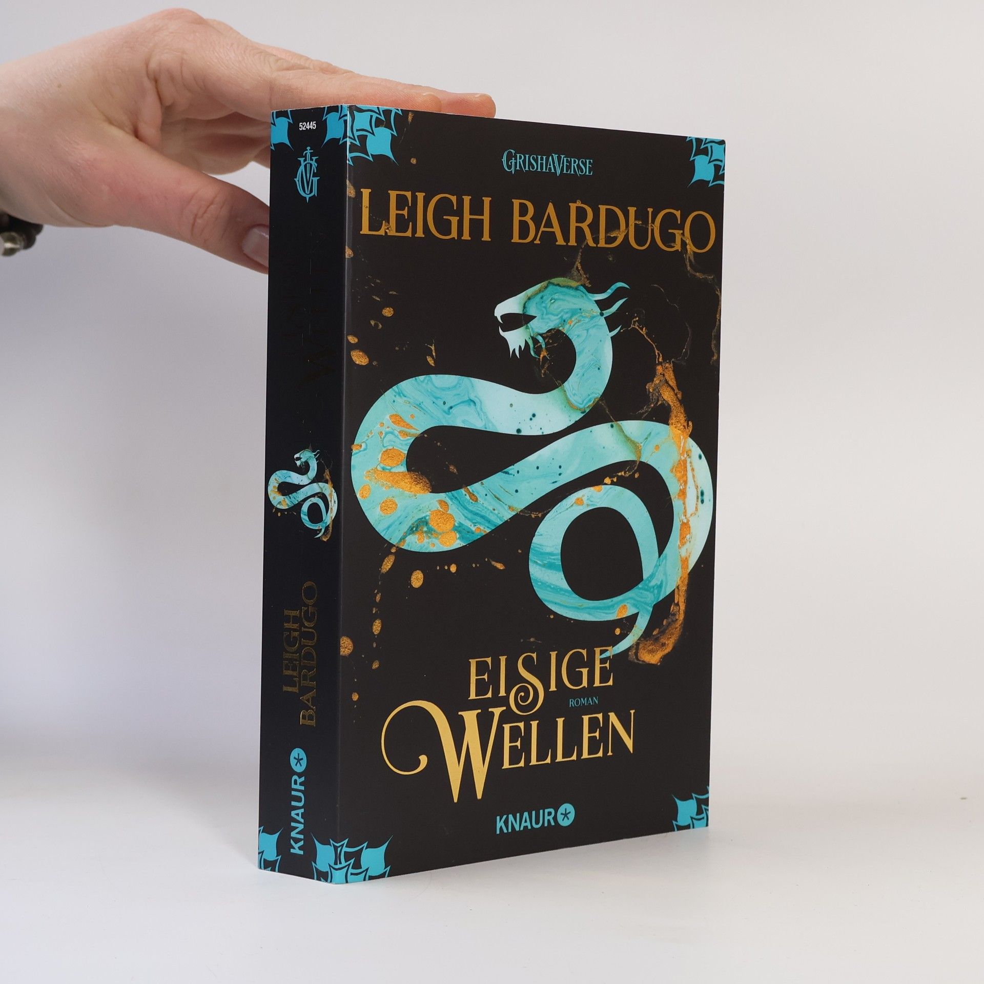 Leigh Bardugo Eisige Wellen