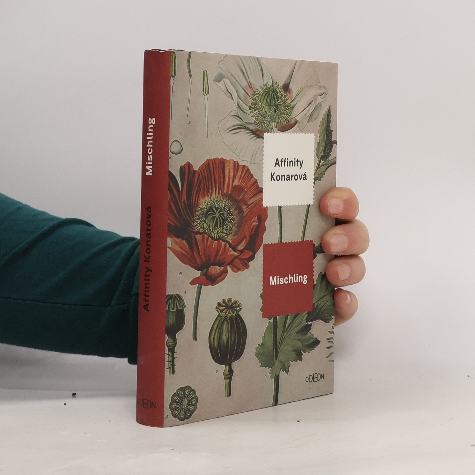 Affinity Konar Mischling