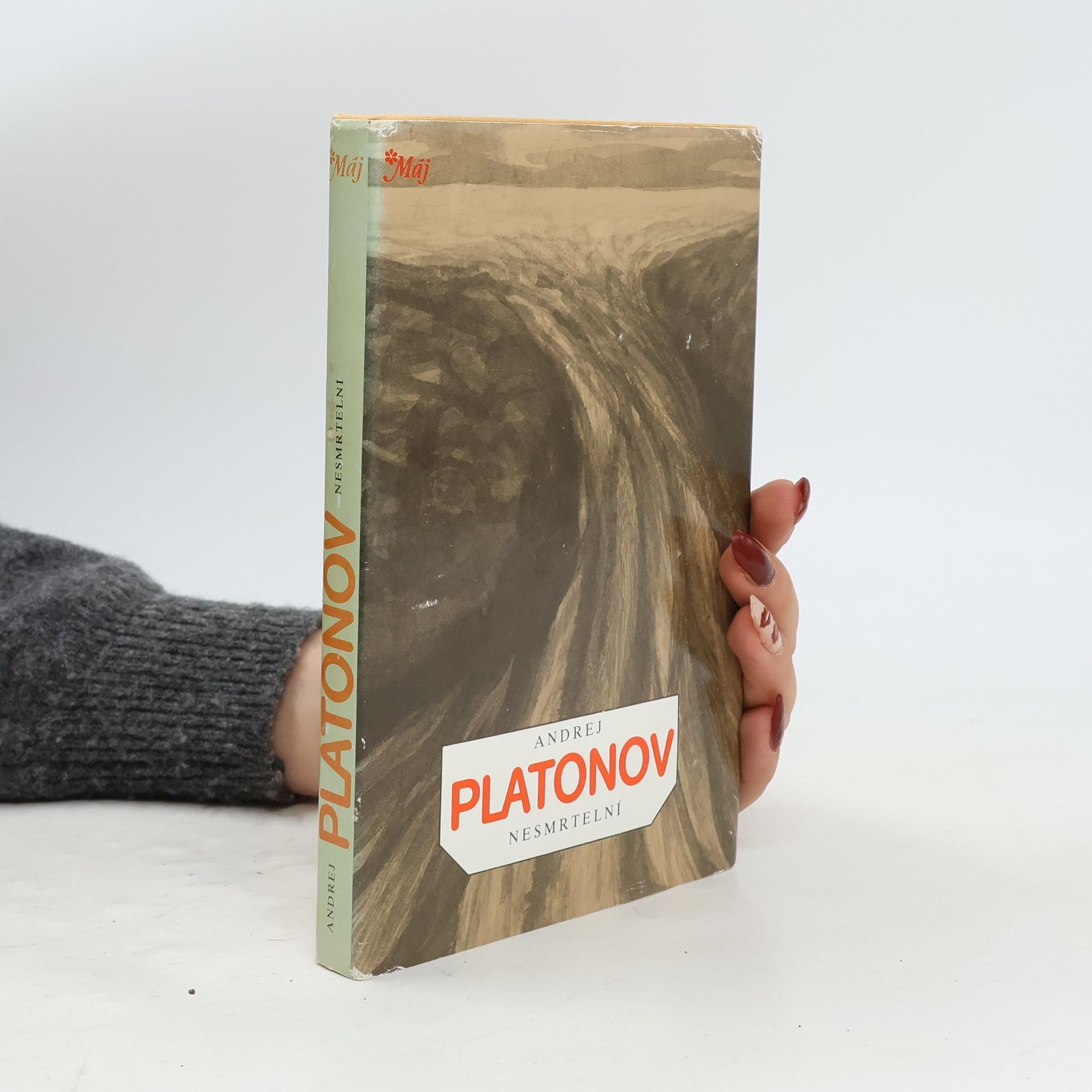 Andrei Platonowitsch Platonow Nesmrtelní
