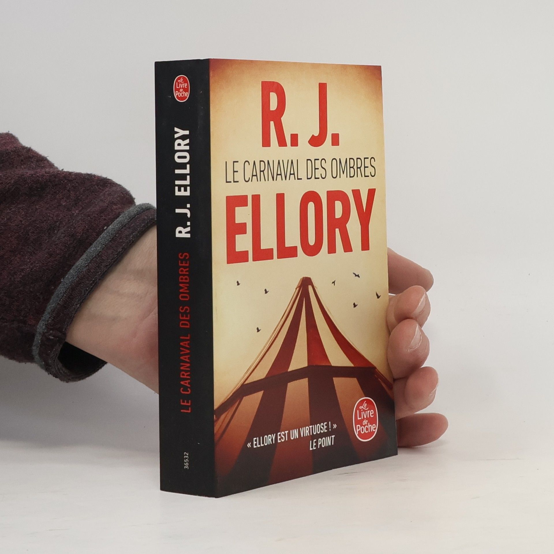 R. J. Ellory Le carnaval des ombres