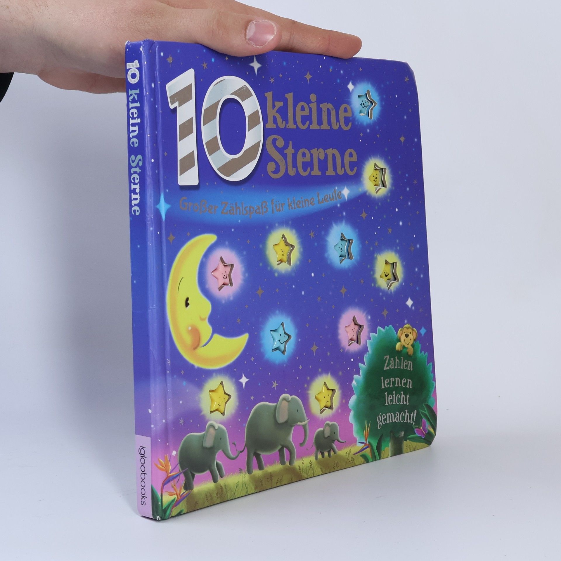 Autorenkollektiv 10 kleine Sterne