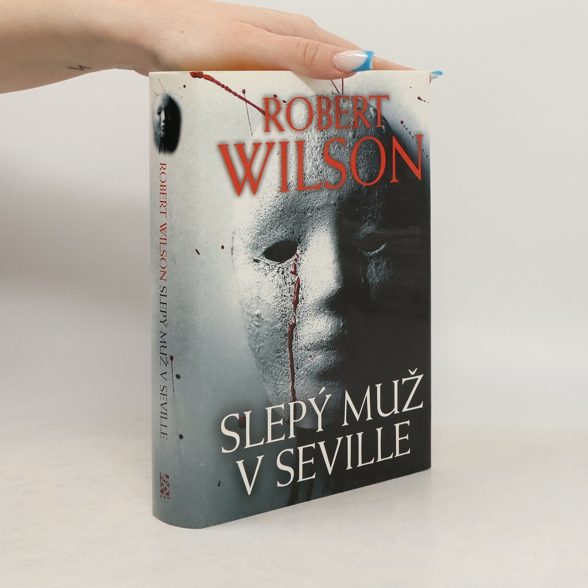 Robin Wilson Slepý muž v Seville