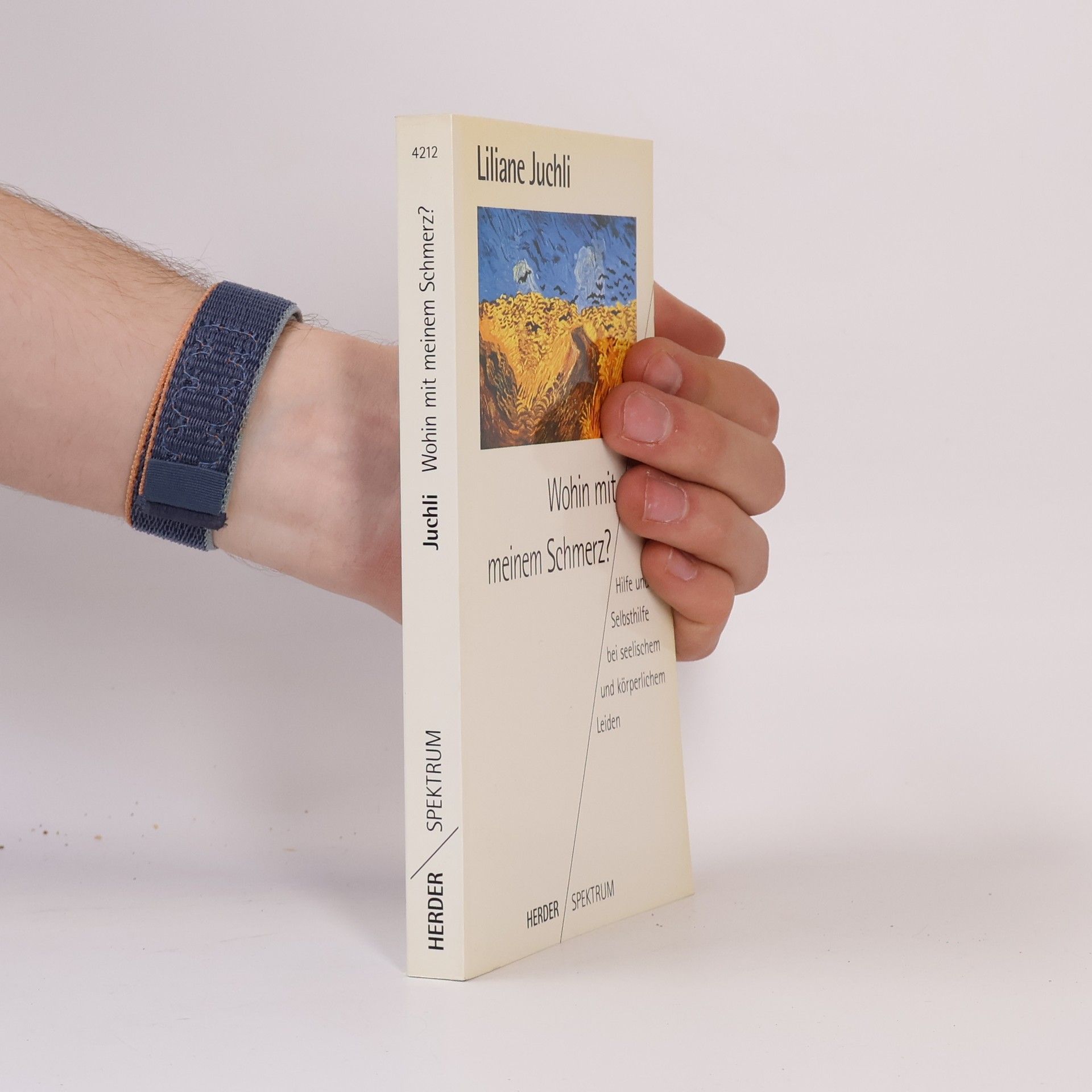 Liliane Juchli Wohin mit meinem Schmerz?