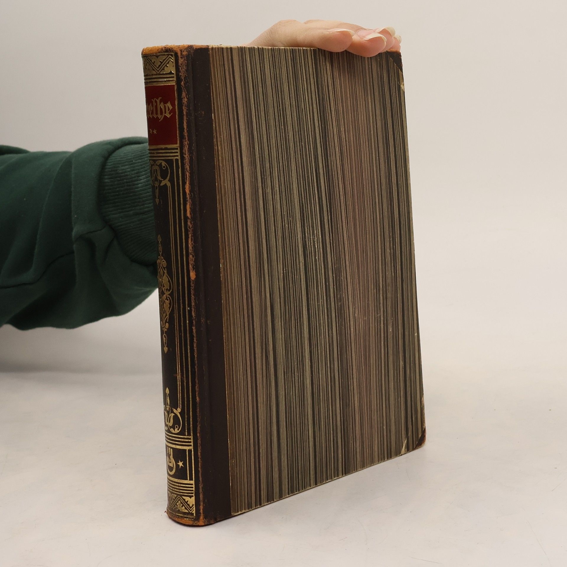 Ludwig Beiger Goethe's Werke