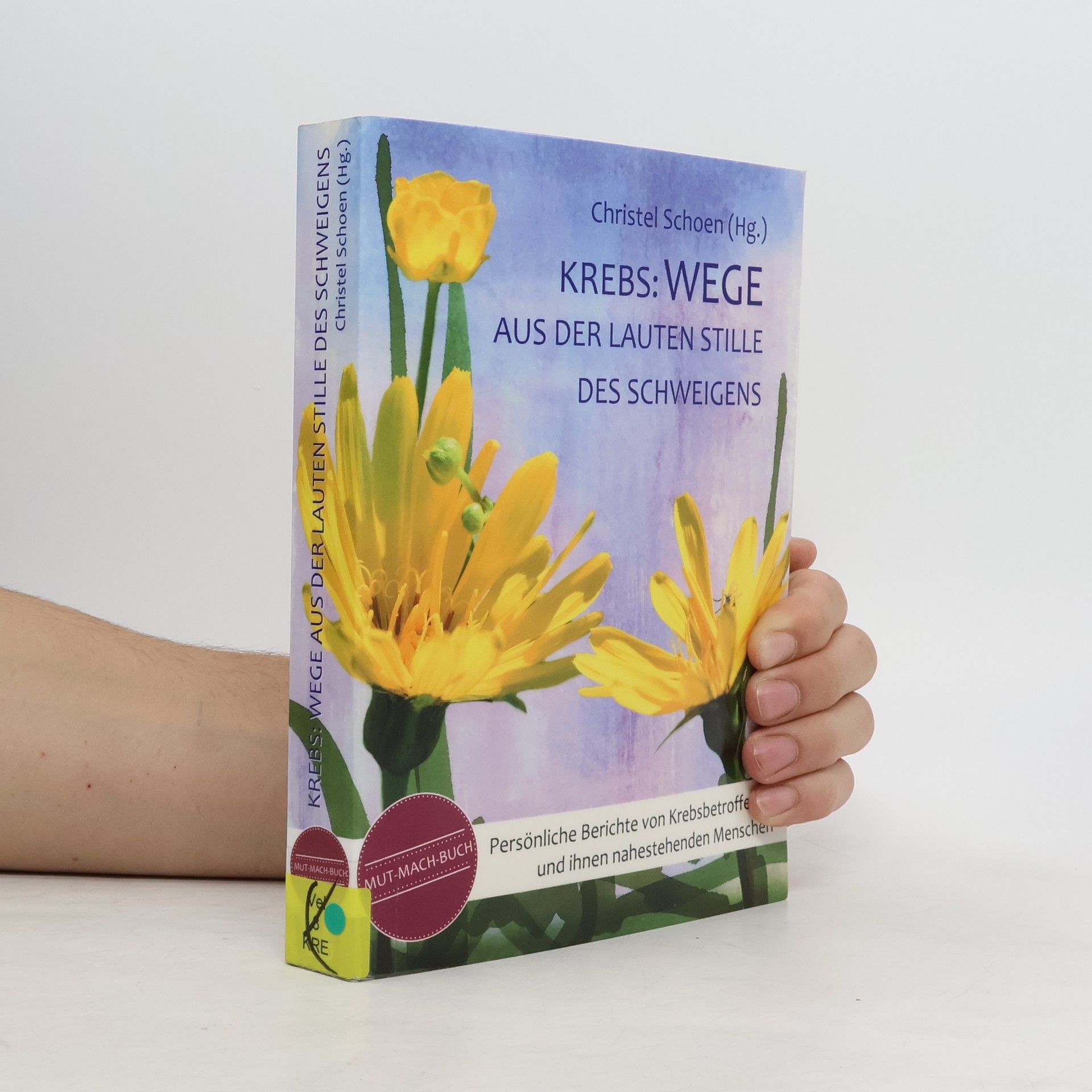 Christel Schoen Krebs: Wege aus der lauten Stille des Schweigens