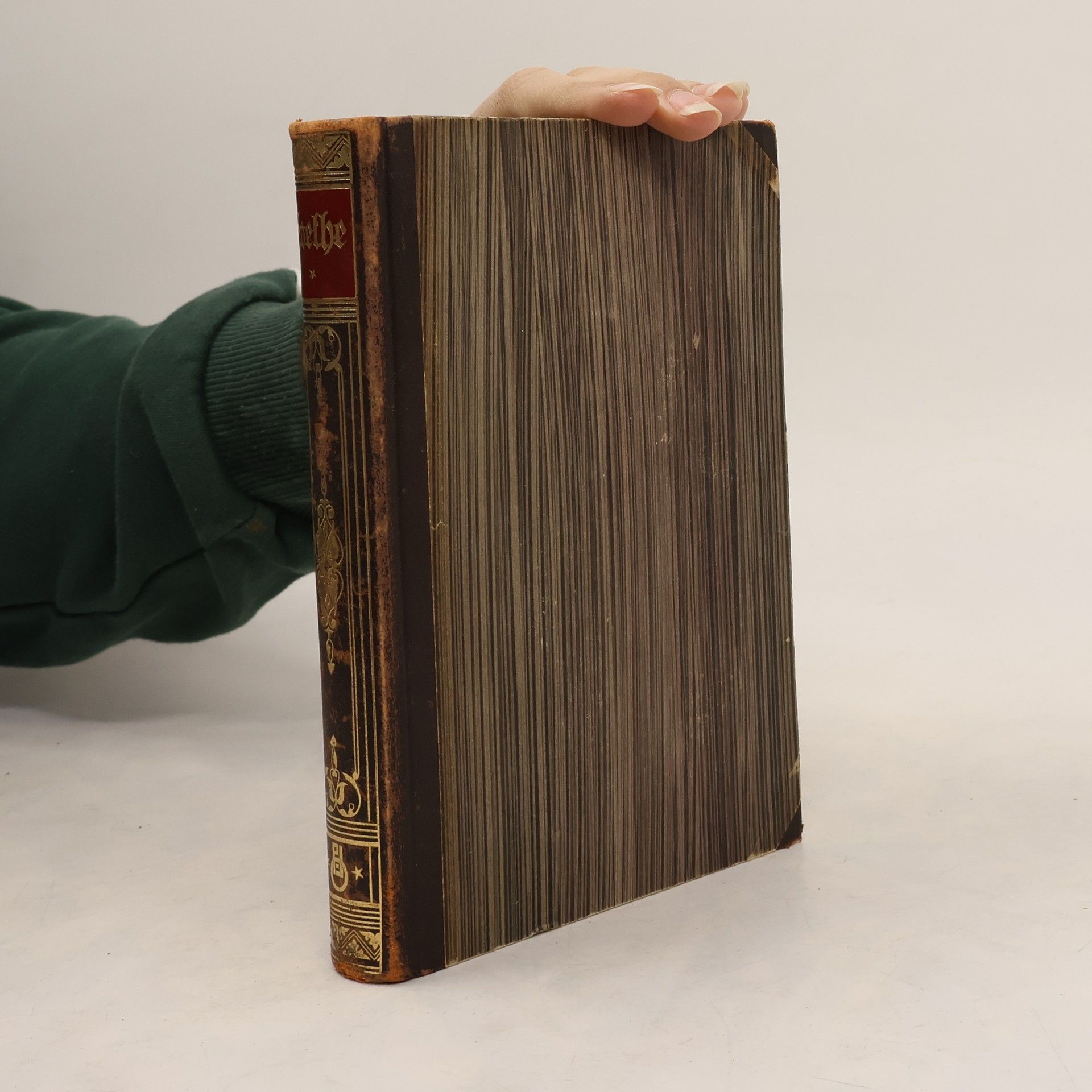 Ludwig Geiger Goethe