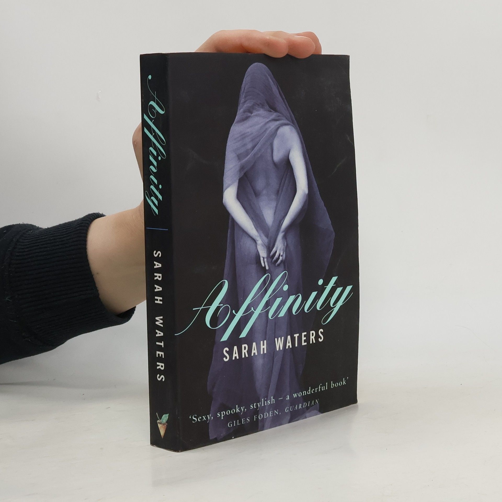 Sarah Waters Affinity