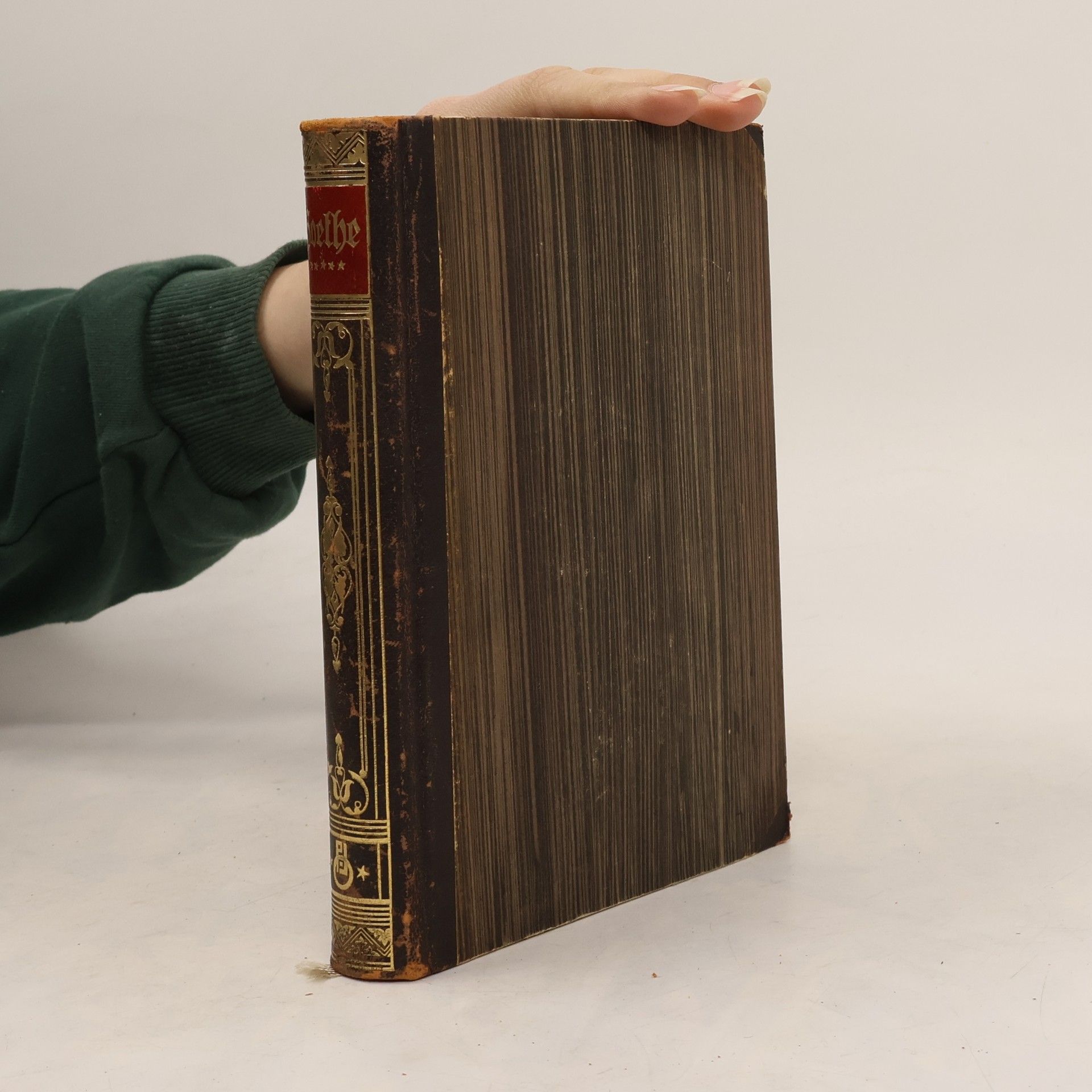 Ludwig Geiger Goethe. 5 Band