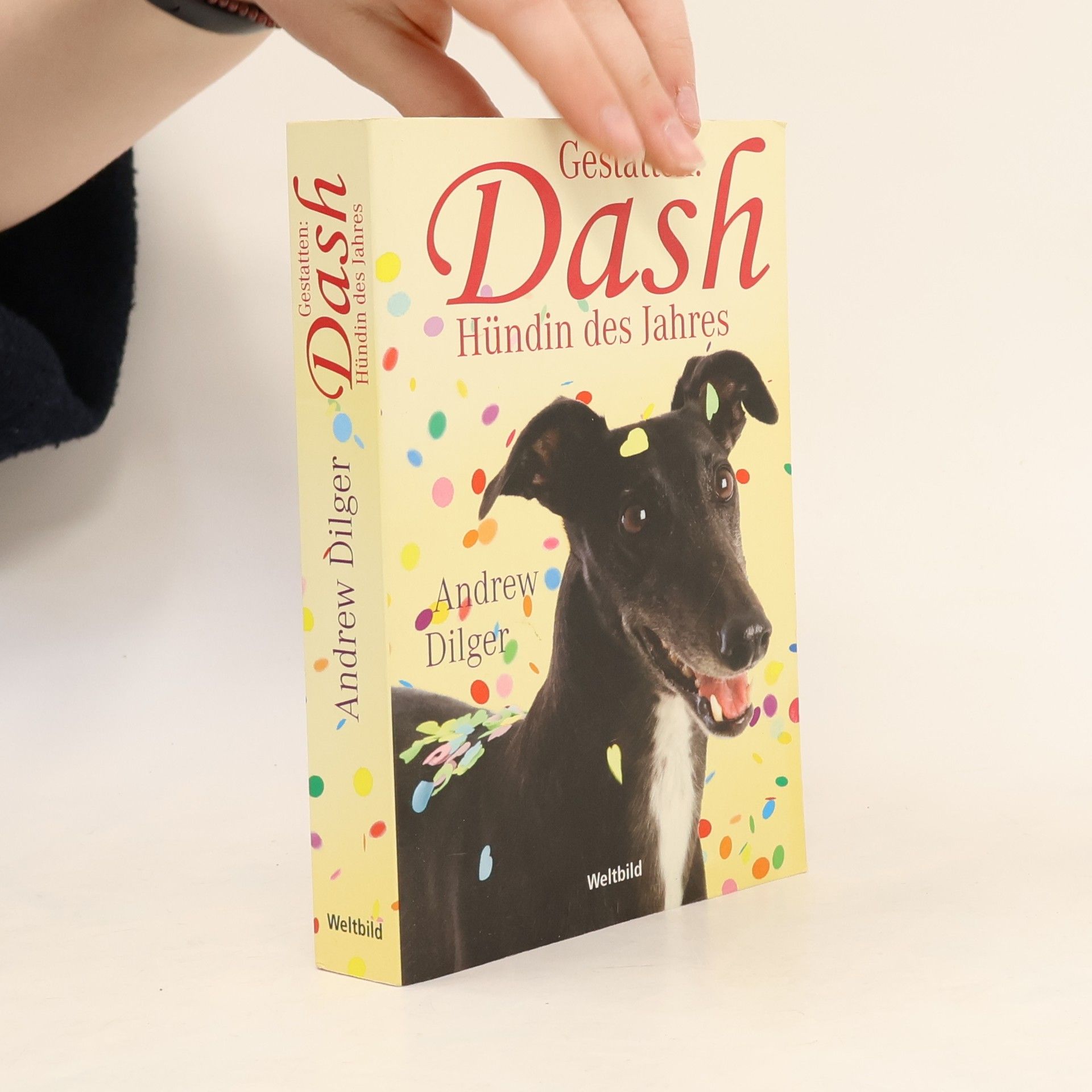 Andrew Dilger Gestatten: Dash, Hündin des Jahres