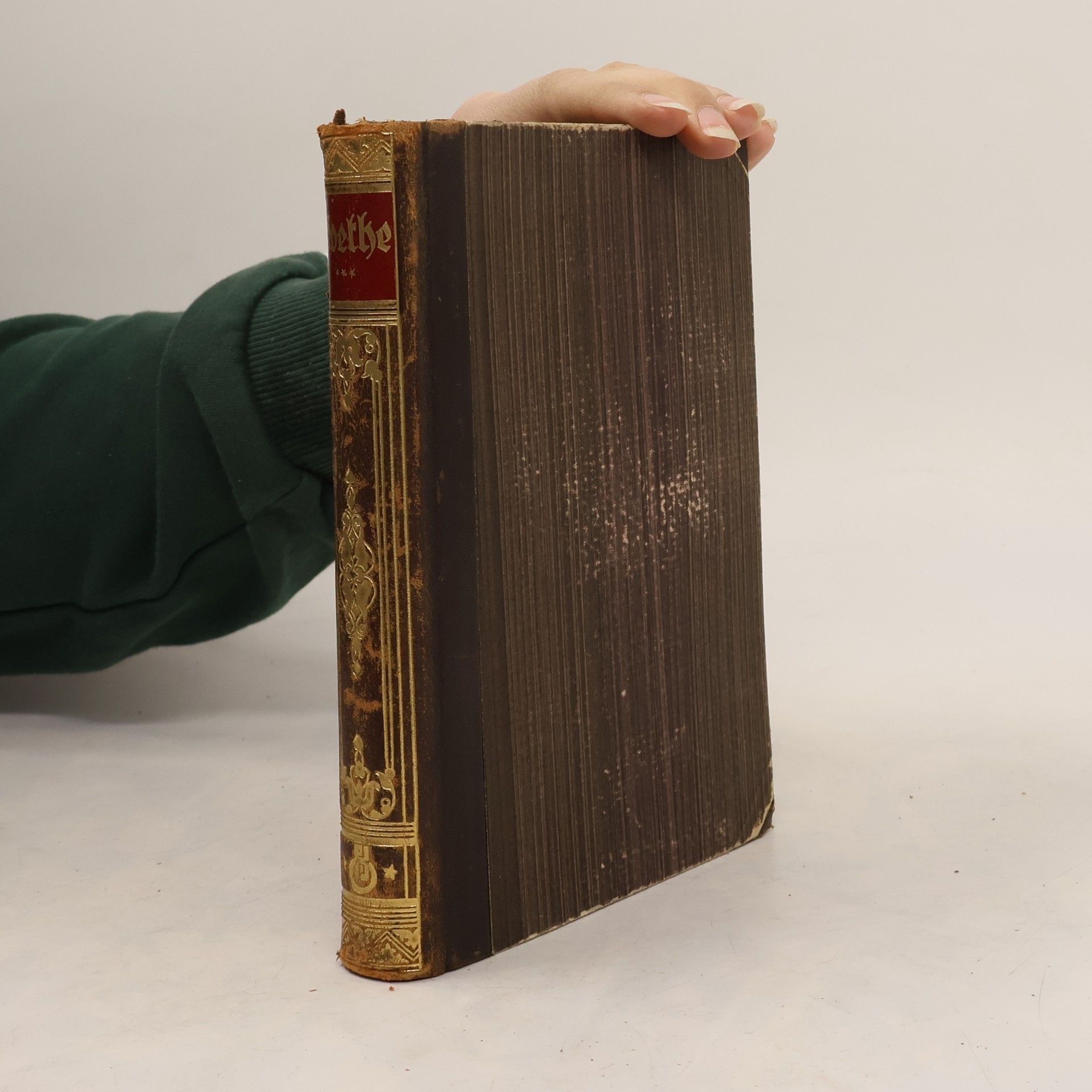 Ludwig Geiger Goethe 3