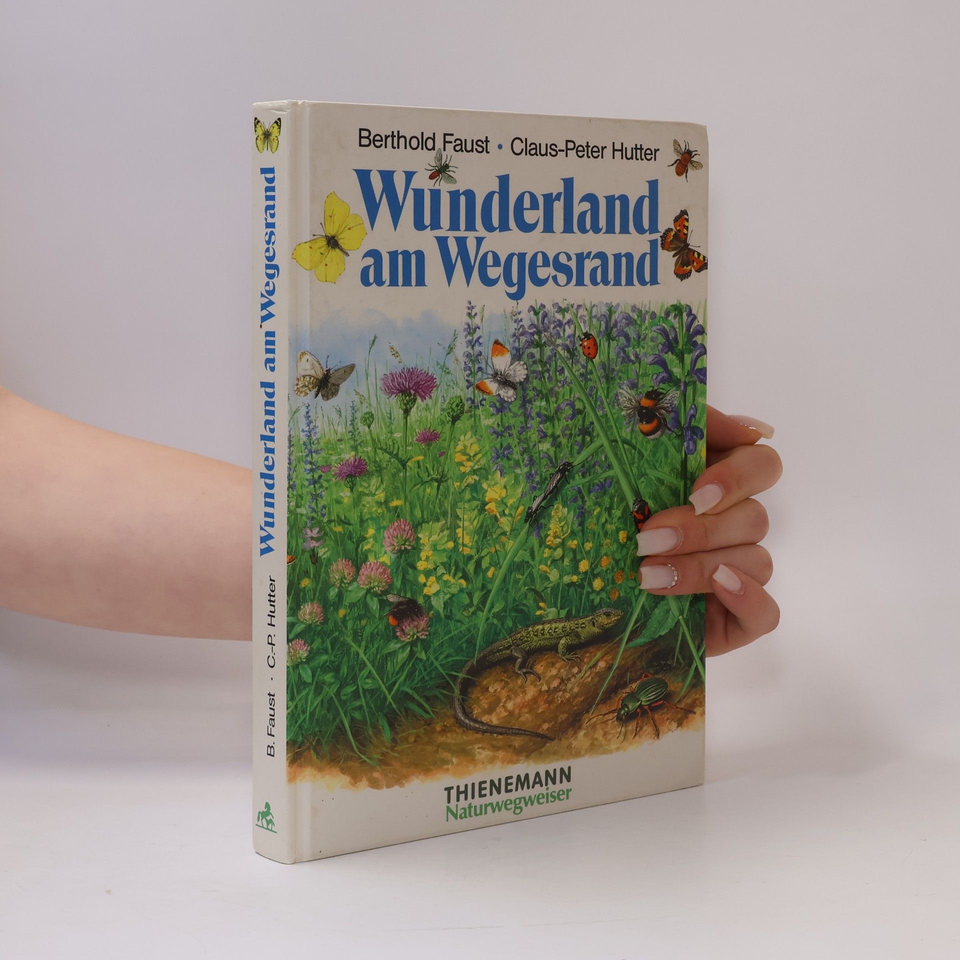 Berthold Faust Wunderland am Wegesrand