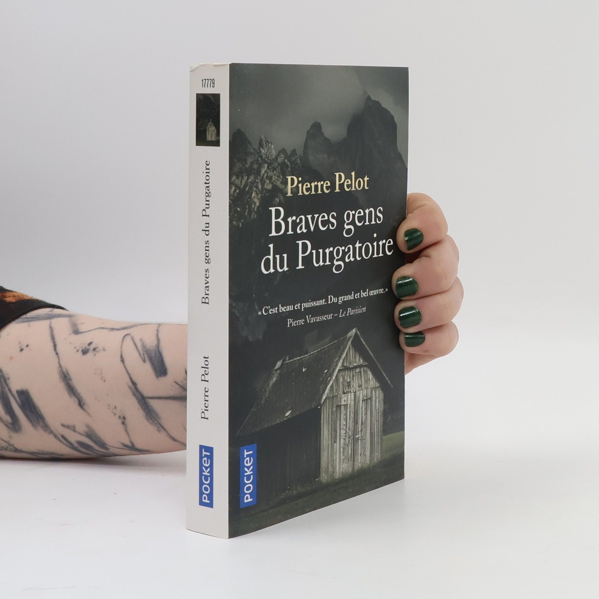 Pierre Pelot Braves gens du Purgatoire