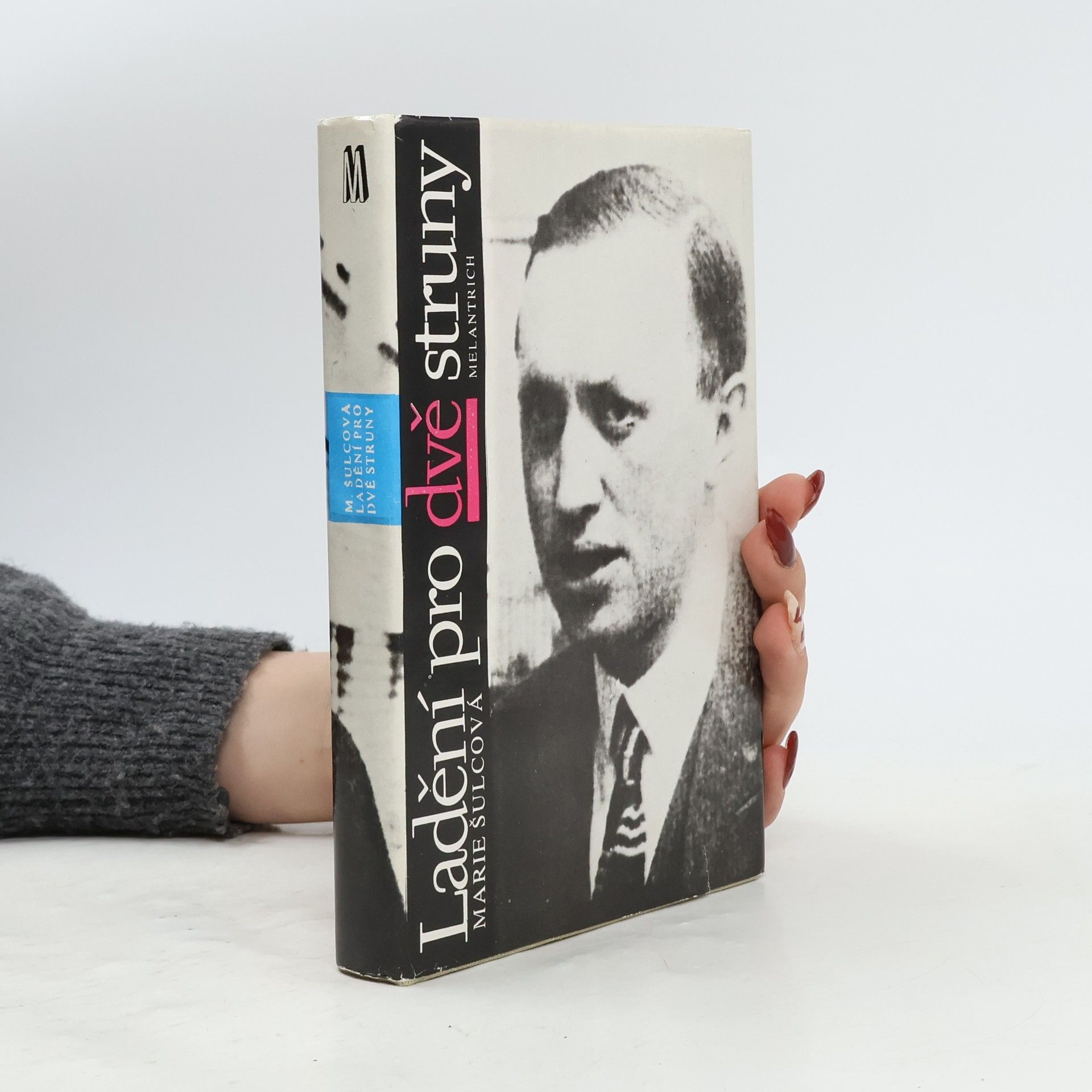 Marie Šulcová Ladění pro dvě struny