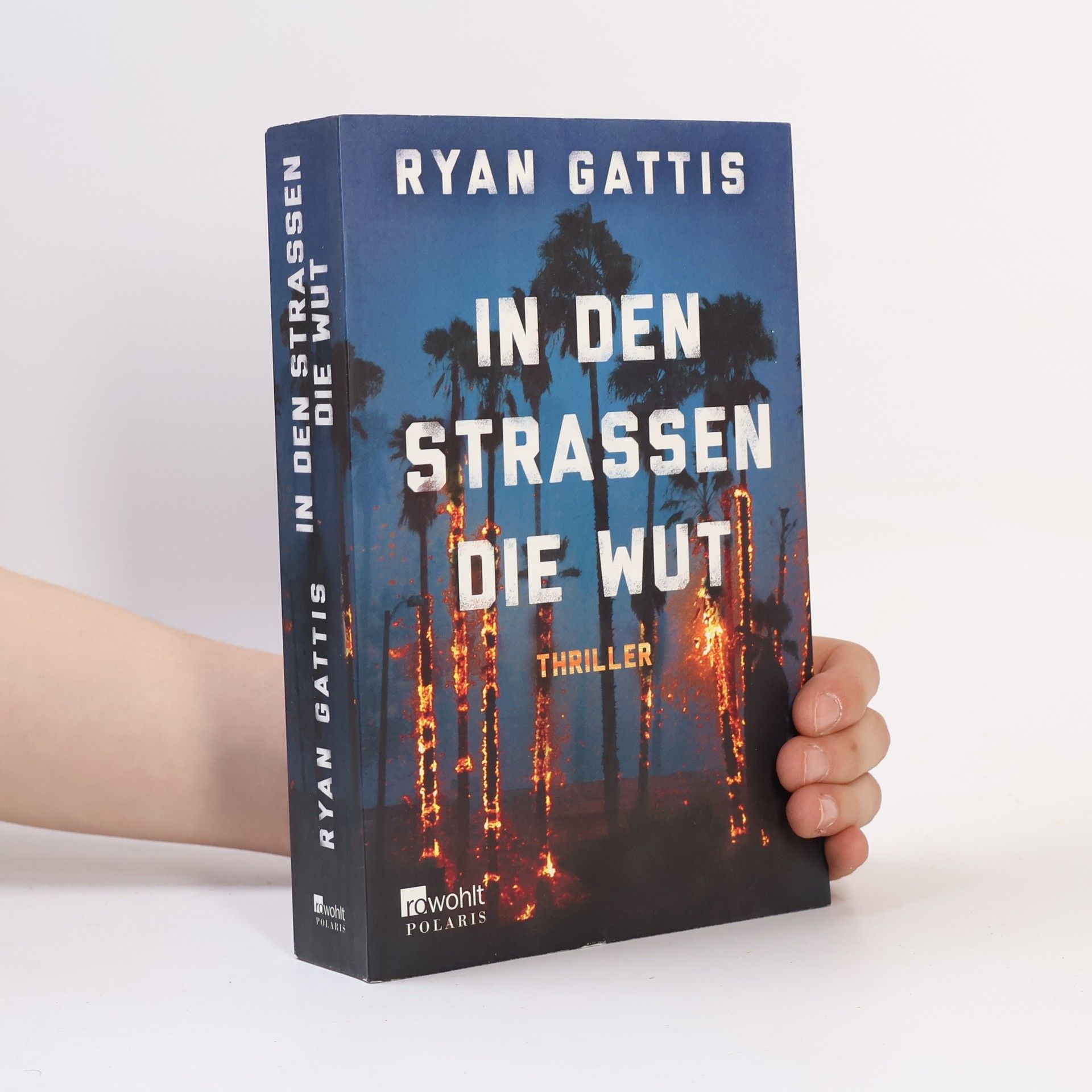 Ryan Gattis In den Strassen die Wut