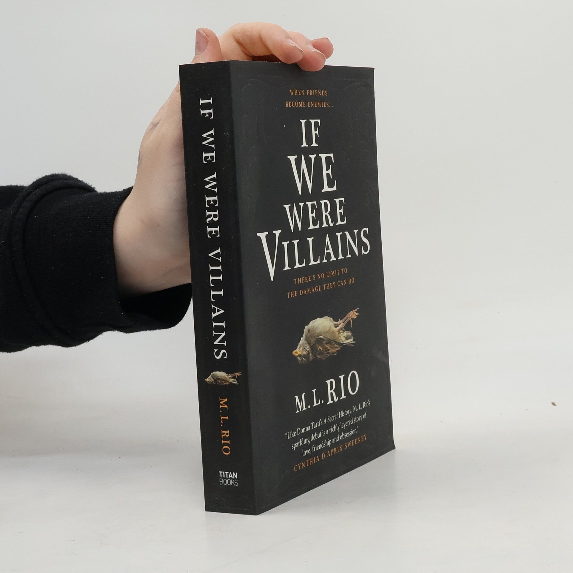 M. L. Rio If We Were Villains