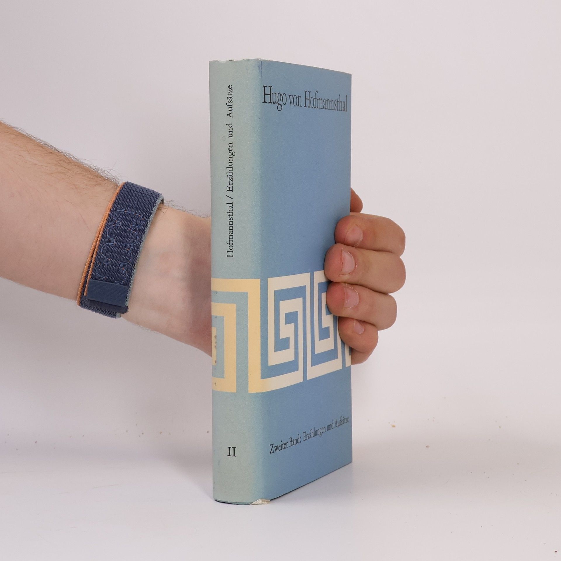 Hugo von Hofmannsthal Ausgewählte Werke 2. Erzählungen und Aufsätze