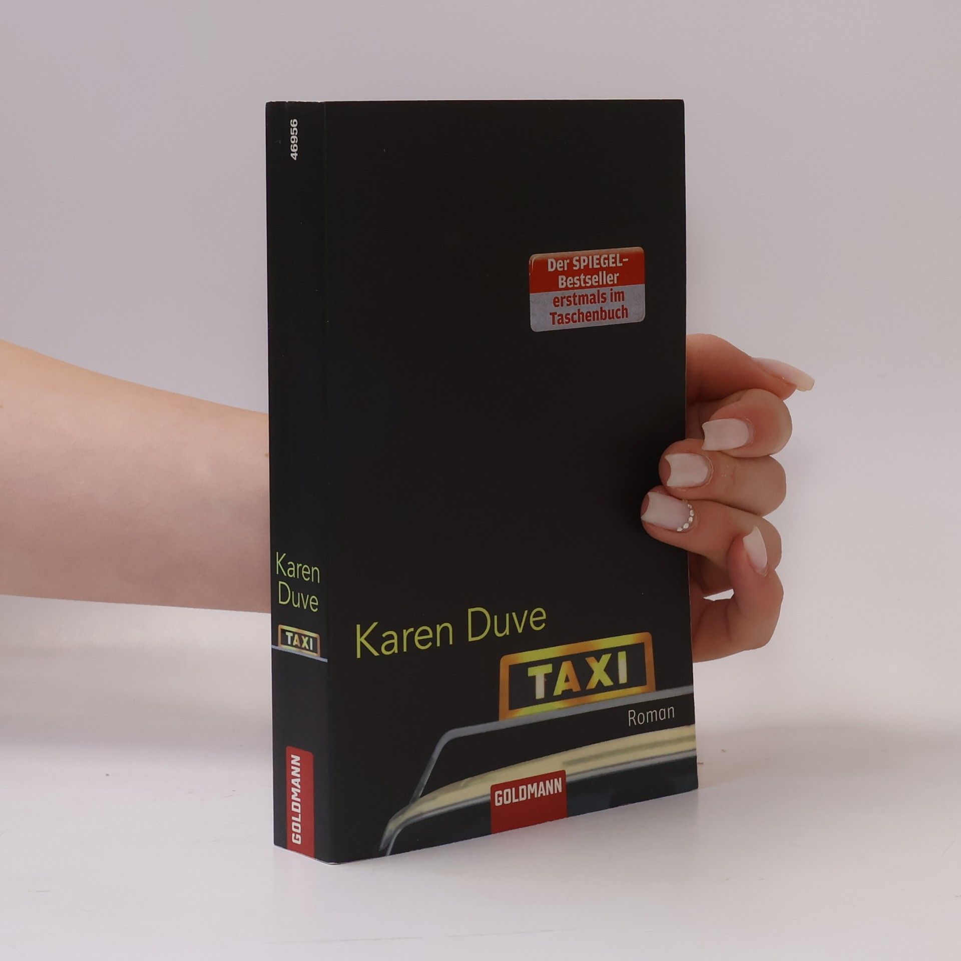 Karen Duve Taxi