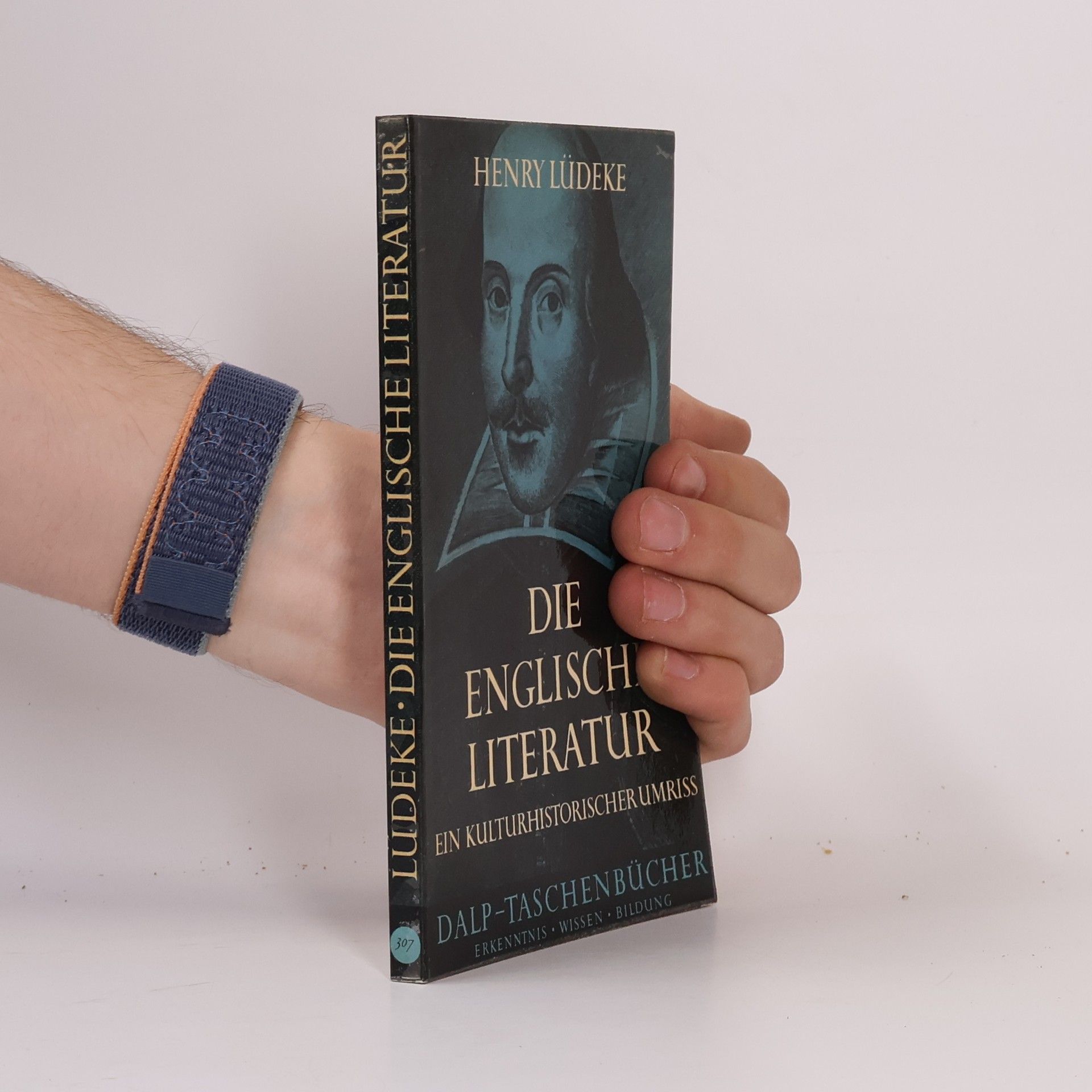 Henry Lüdeke Die Englisch Literatur