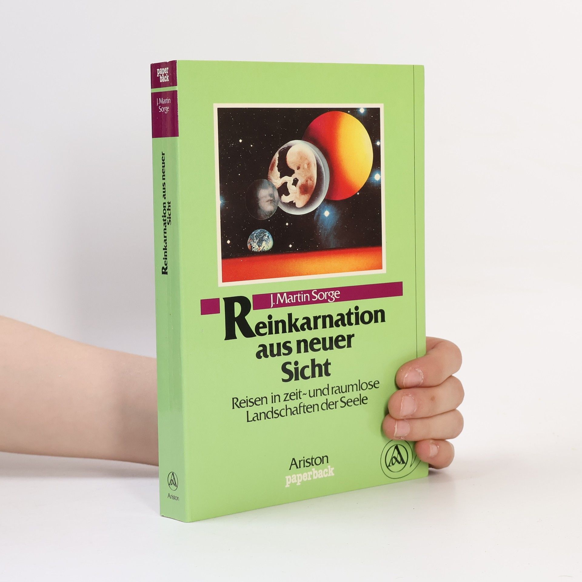 J. Martin Sorge Reinkarnation aus neuer Sicht