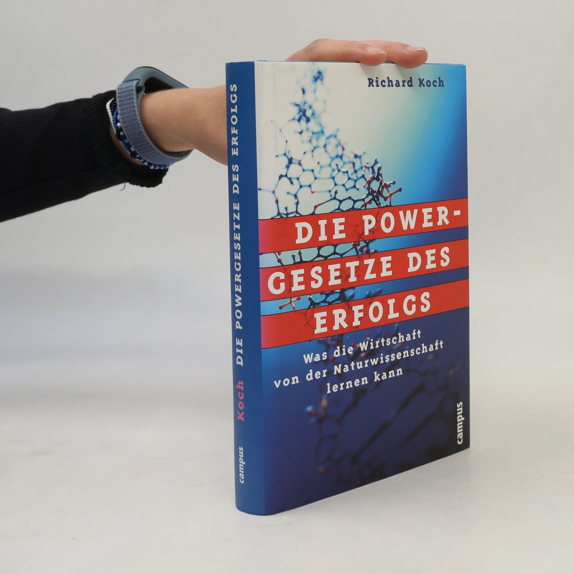 Richard Koch-Sembdner Die Powergesetze des Erfolgs