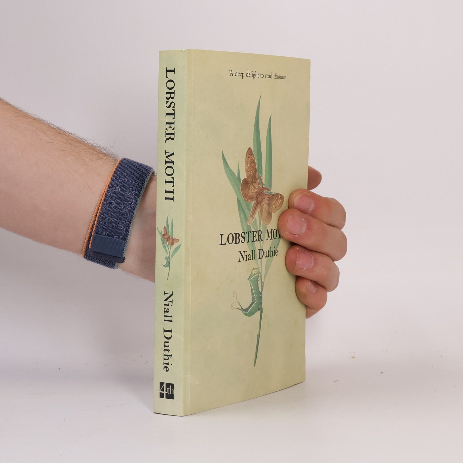 Niall Duthie Lobster Moth