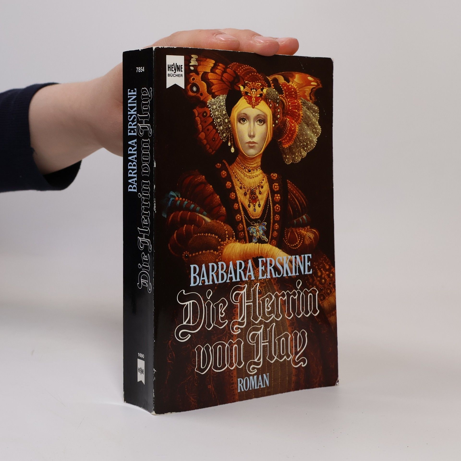 Barbara Erskinová Die Herrin von Hay