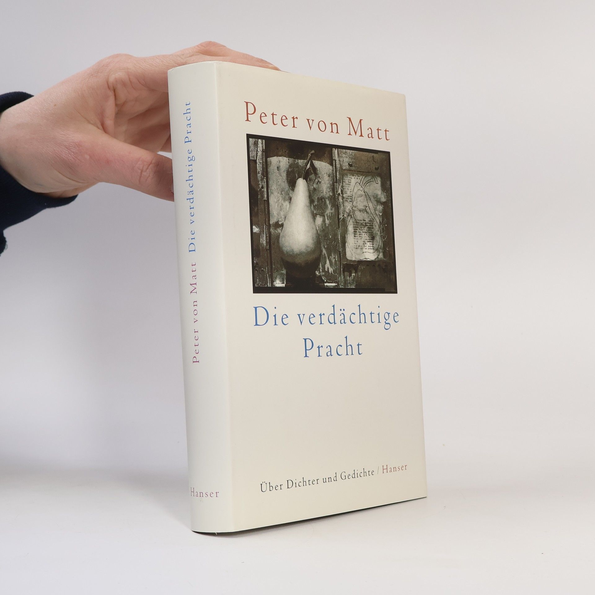 Peter von Matt Die verdächtige Pracht