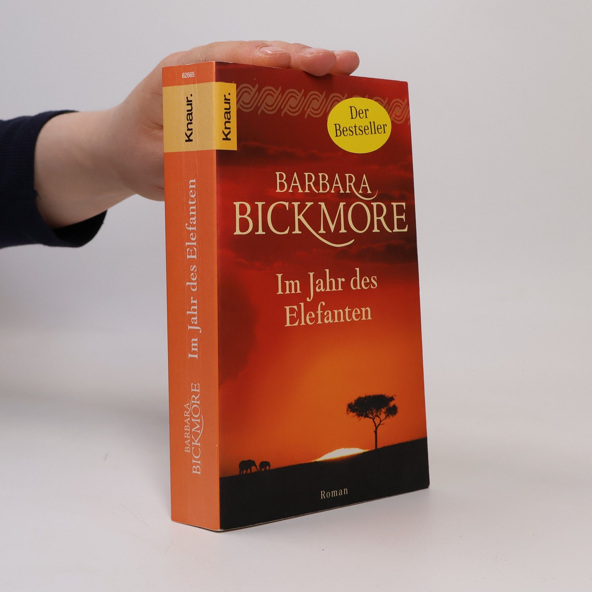 Barbara Bickmore Im Jahr des Elefanten