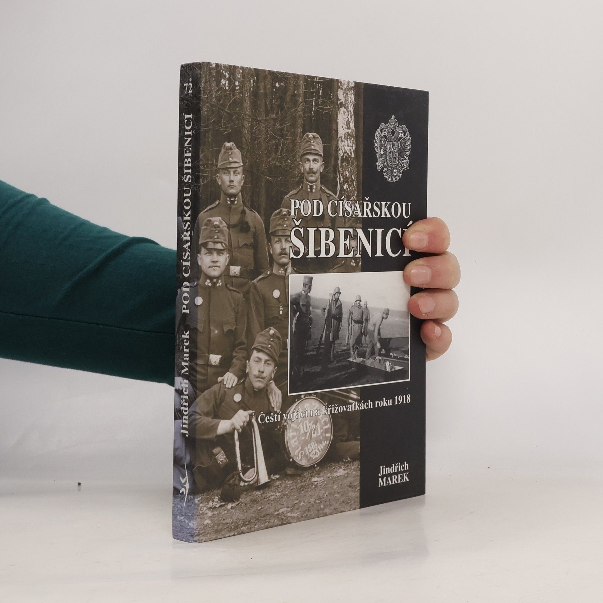 Autorenkollektiv Pod císařskou šibenicí : čeští vojáci na křižovatkách roku 1918